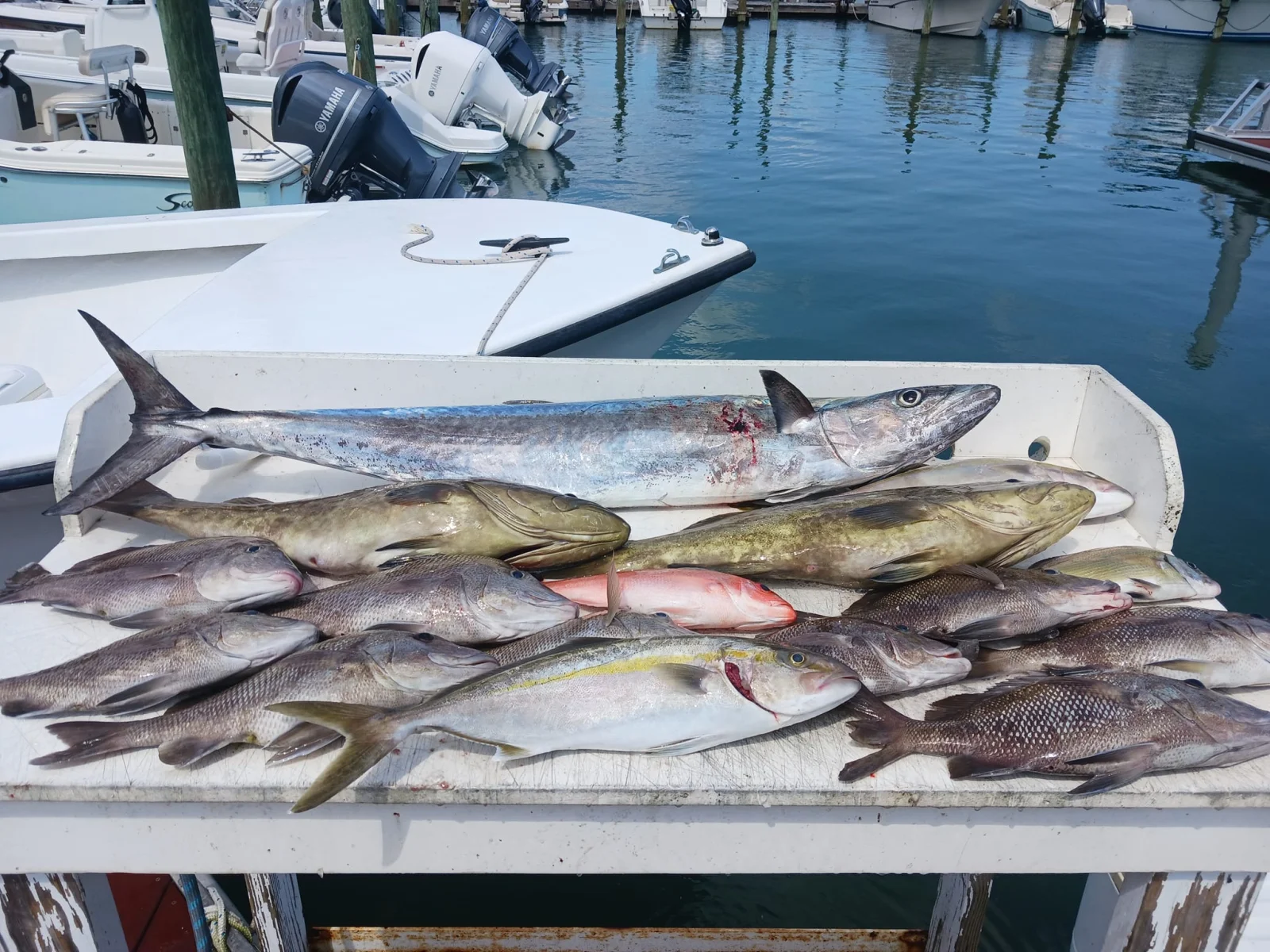 Fishing in Destin