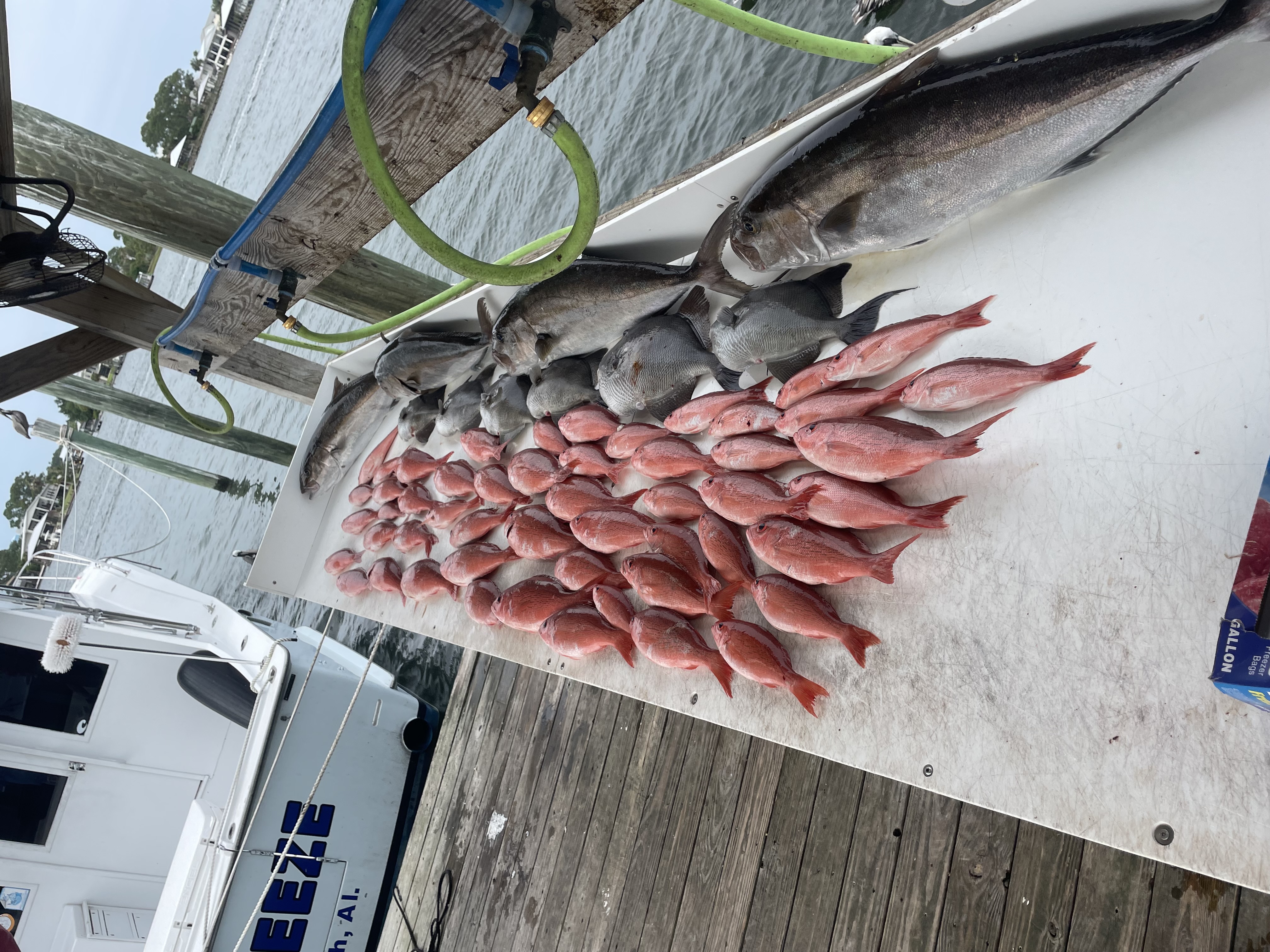 Fishing in Destin