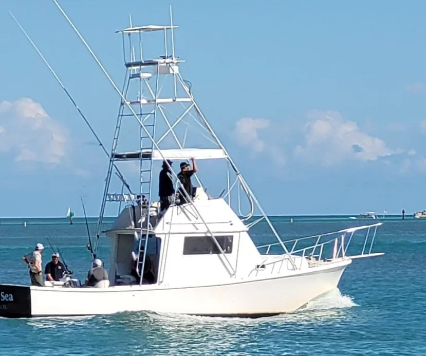 3 Hour Trip – Shark