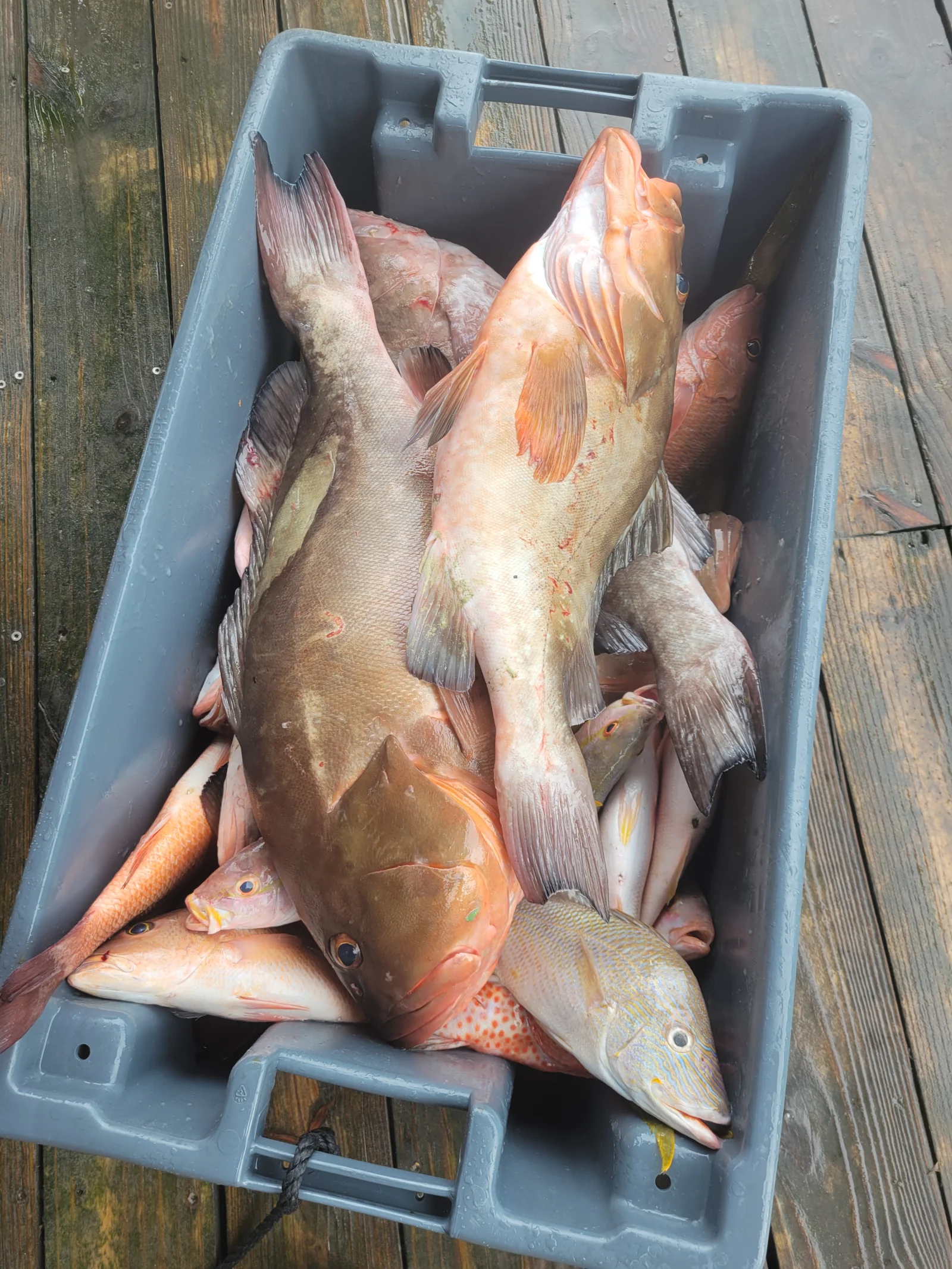 Fishing in Destin