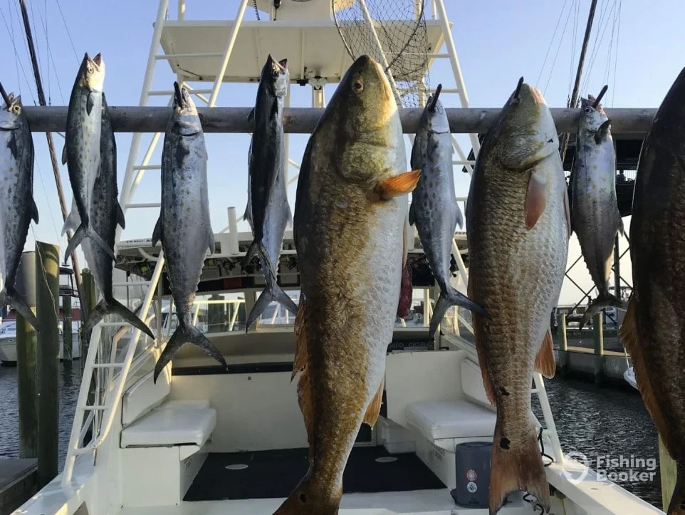 Fishing in Destin