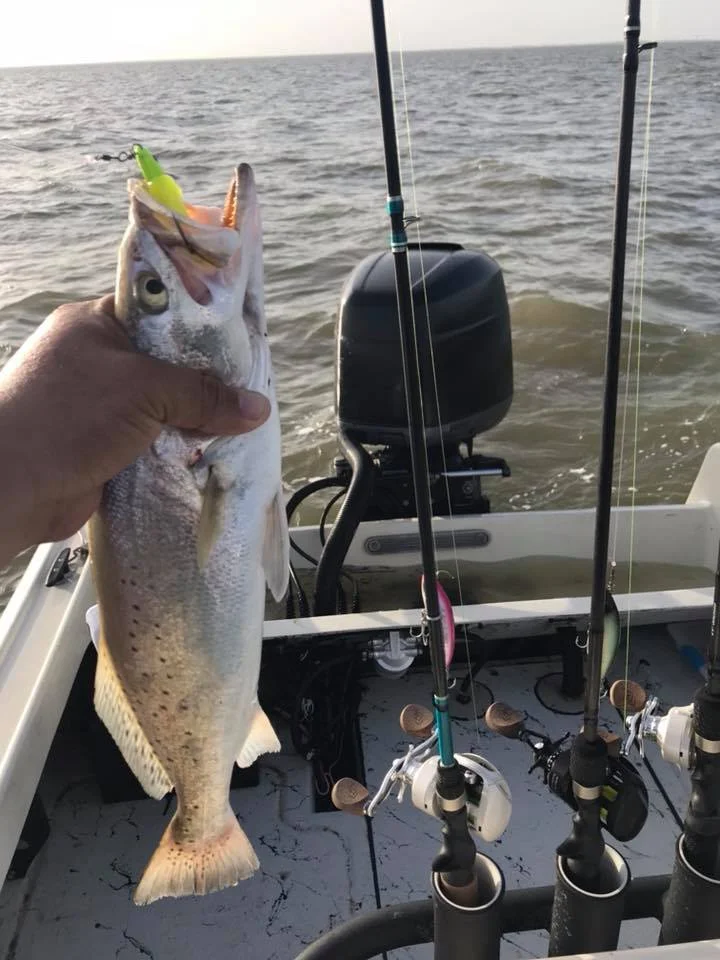 Speckled Trout Fishing in Galveston, Texas