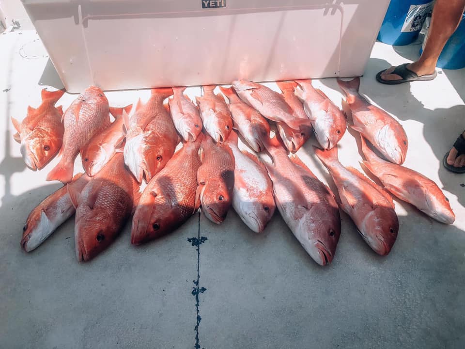 Fishing in Destin