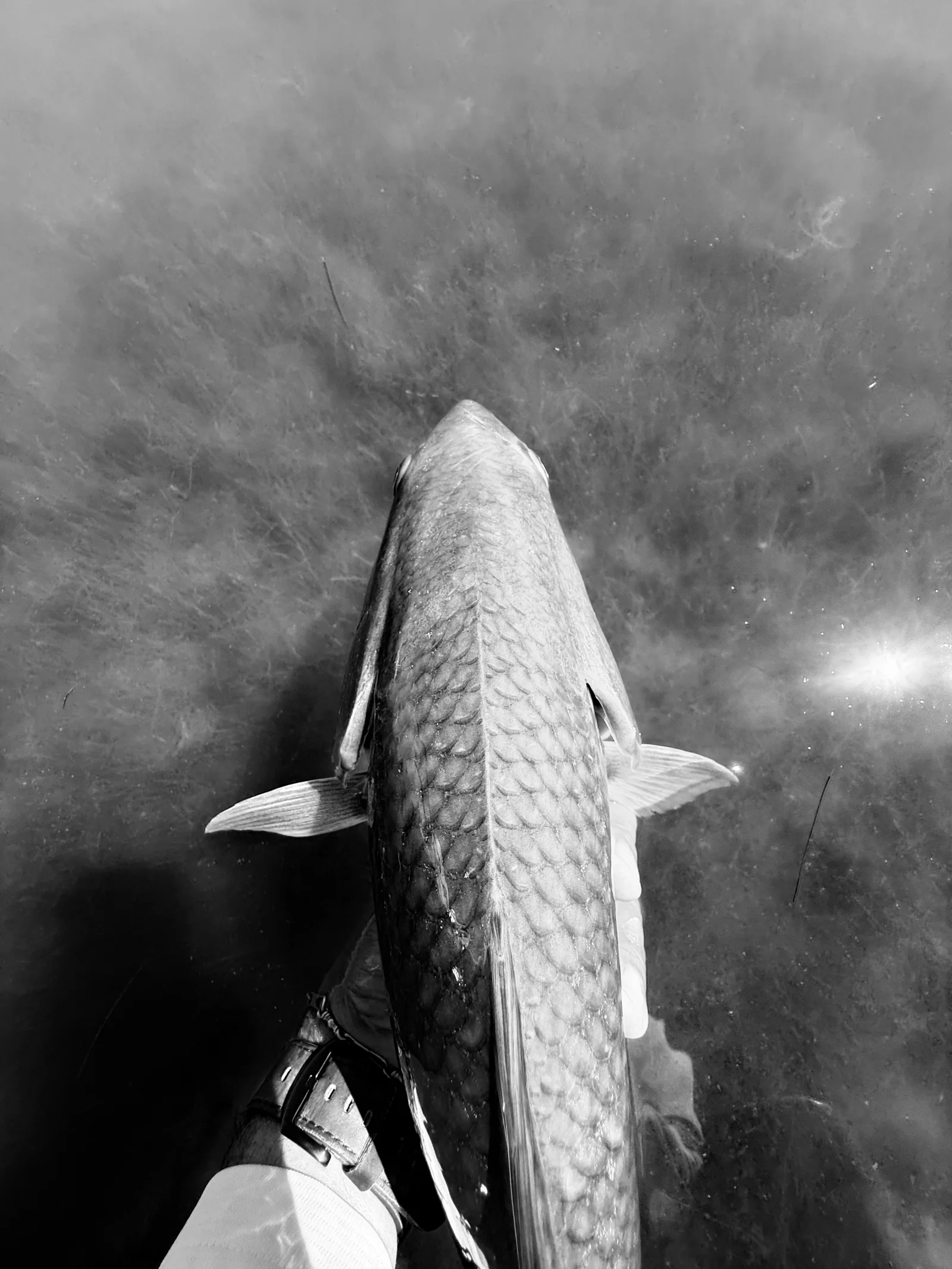 Laguna Madre Flats Fly/Light Tackle