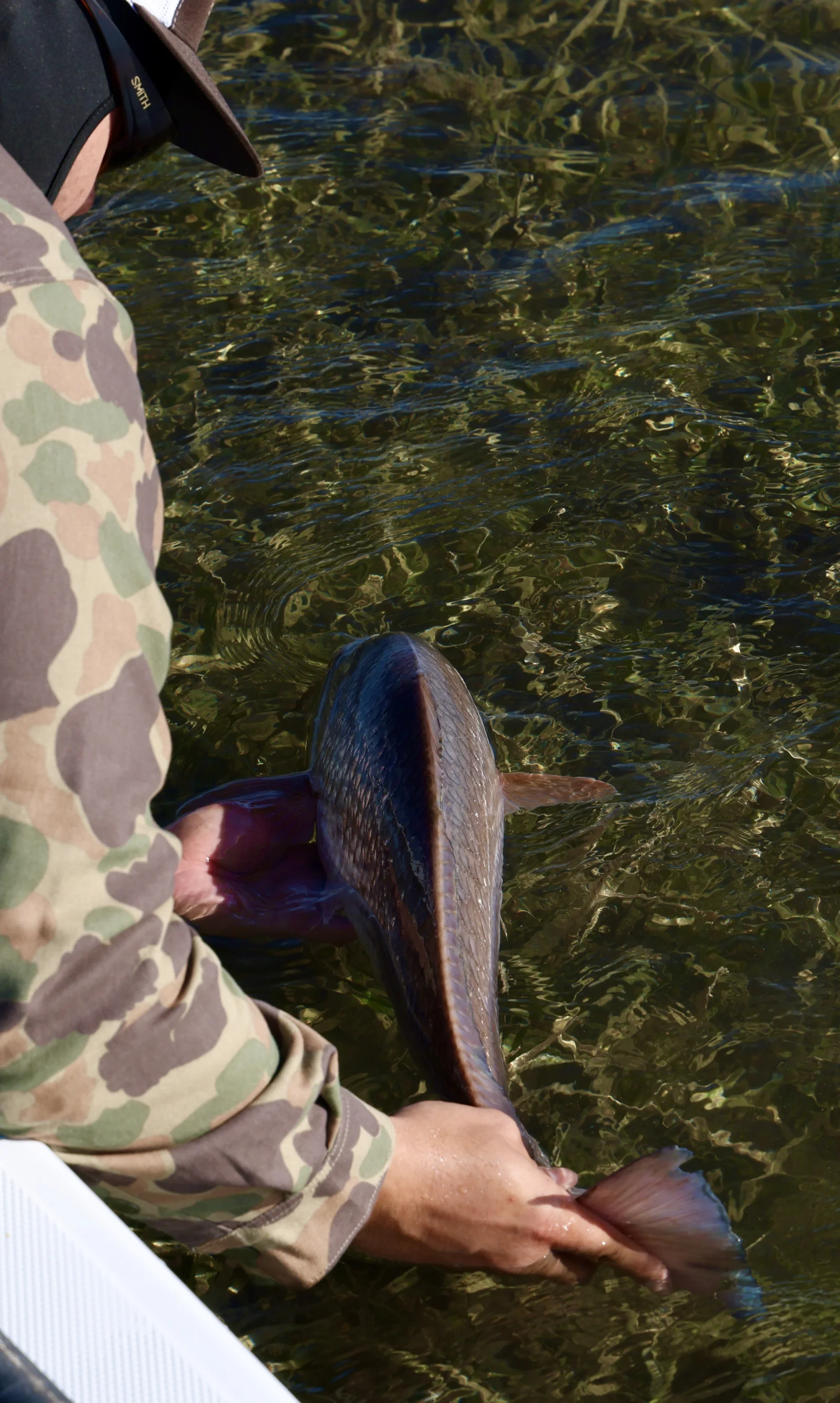 Laguna Madre Flats Fly/Light Tackle