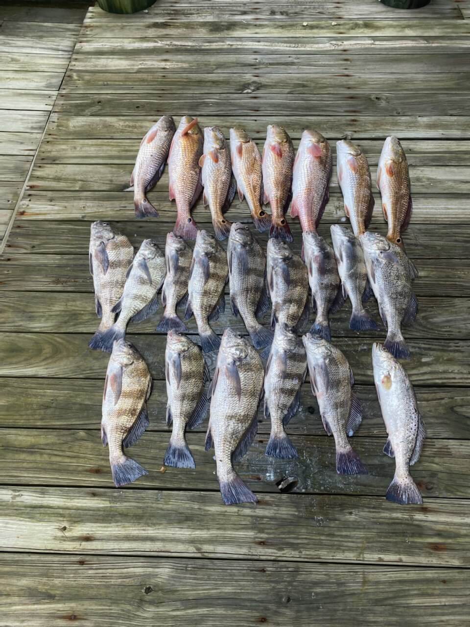 Fishing in Destin