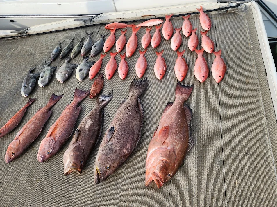 Fishing in Destin