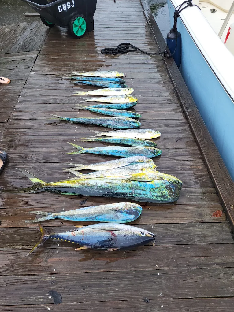 Fishing in Destin