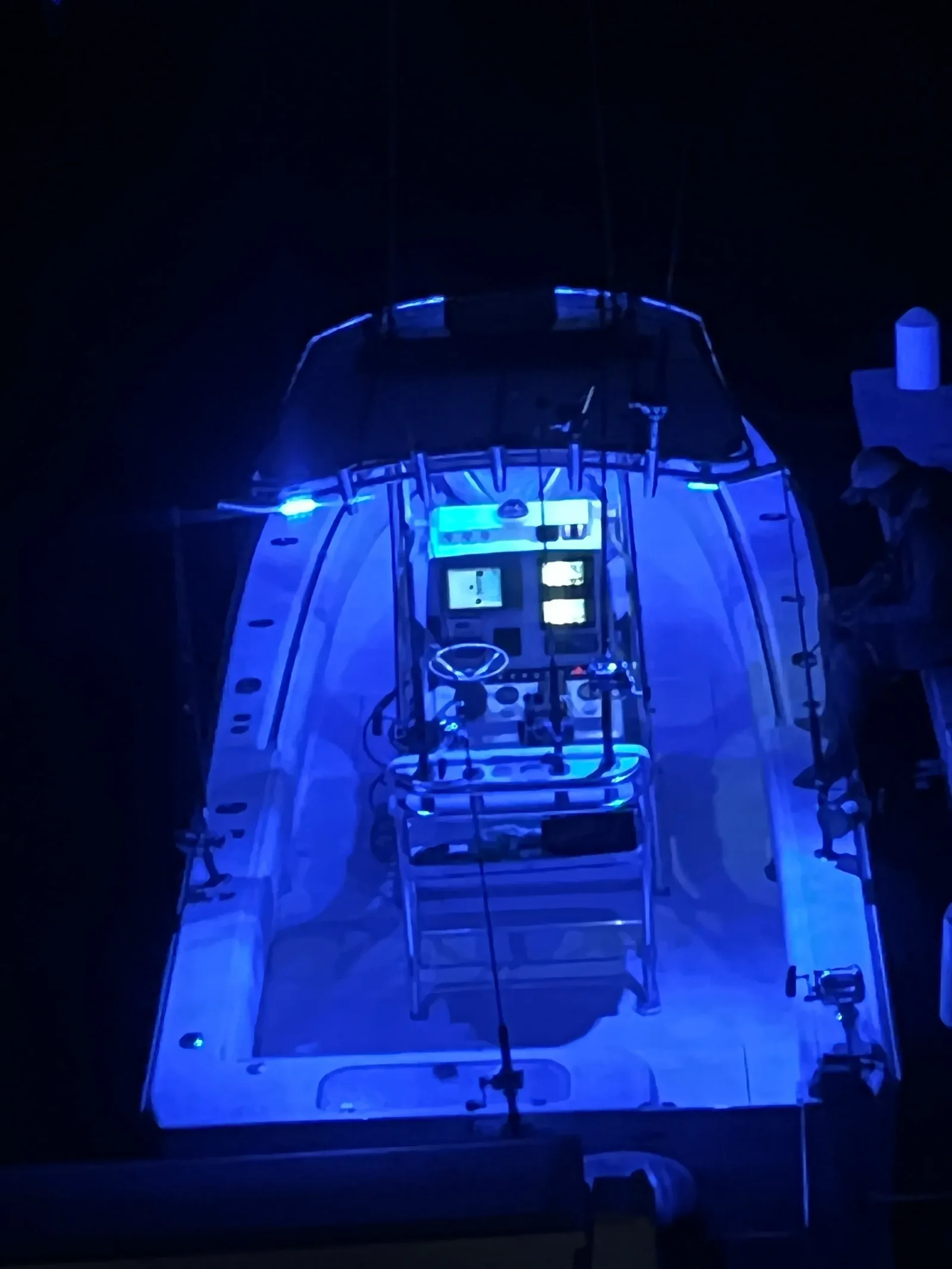Cayman Inshore Fishing Experience