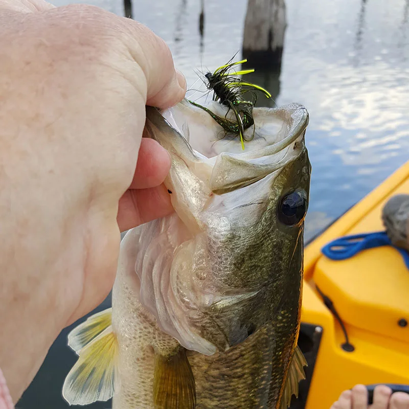 Fly Fishing Fork & North Texas
