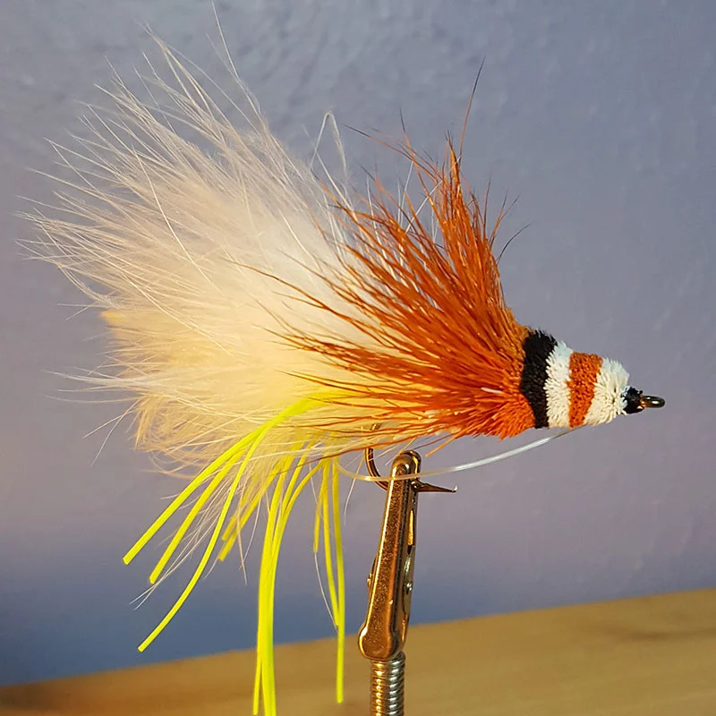 Fly Fishing Fork & North Texas