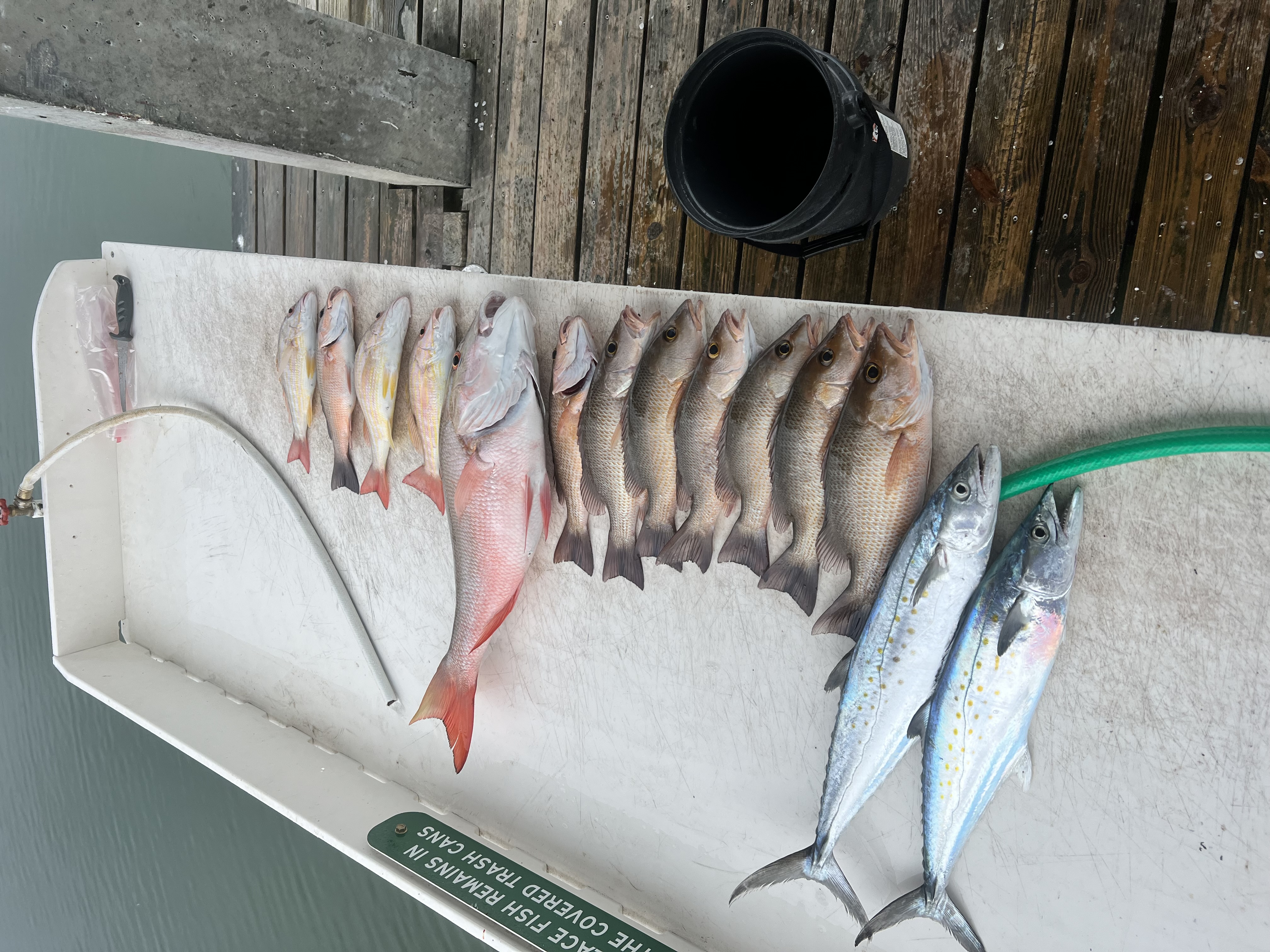 Fishing in Destin
