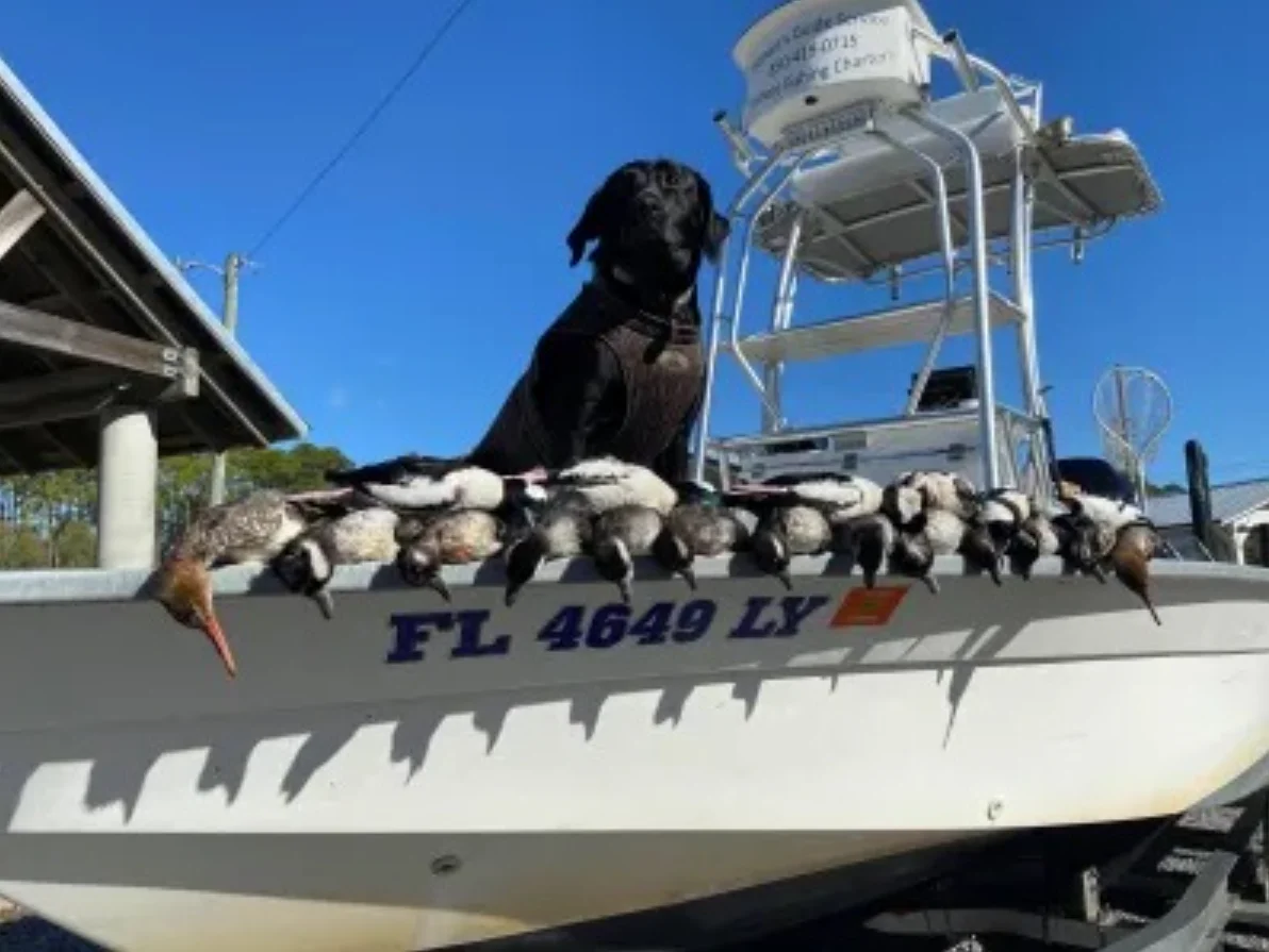 Fishing in Destin