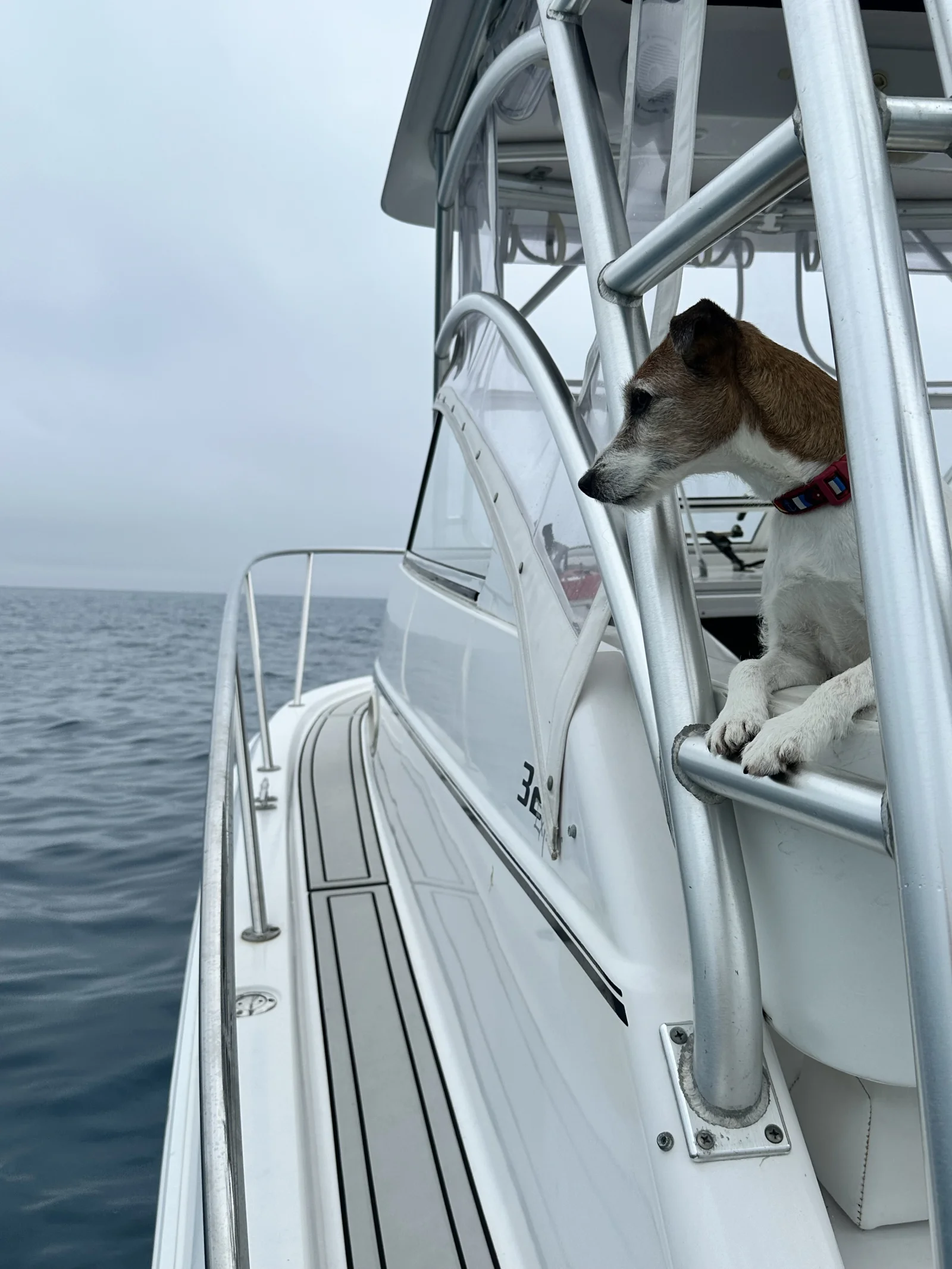 Boat photo for Lobstering & Snorkeling