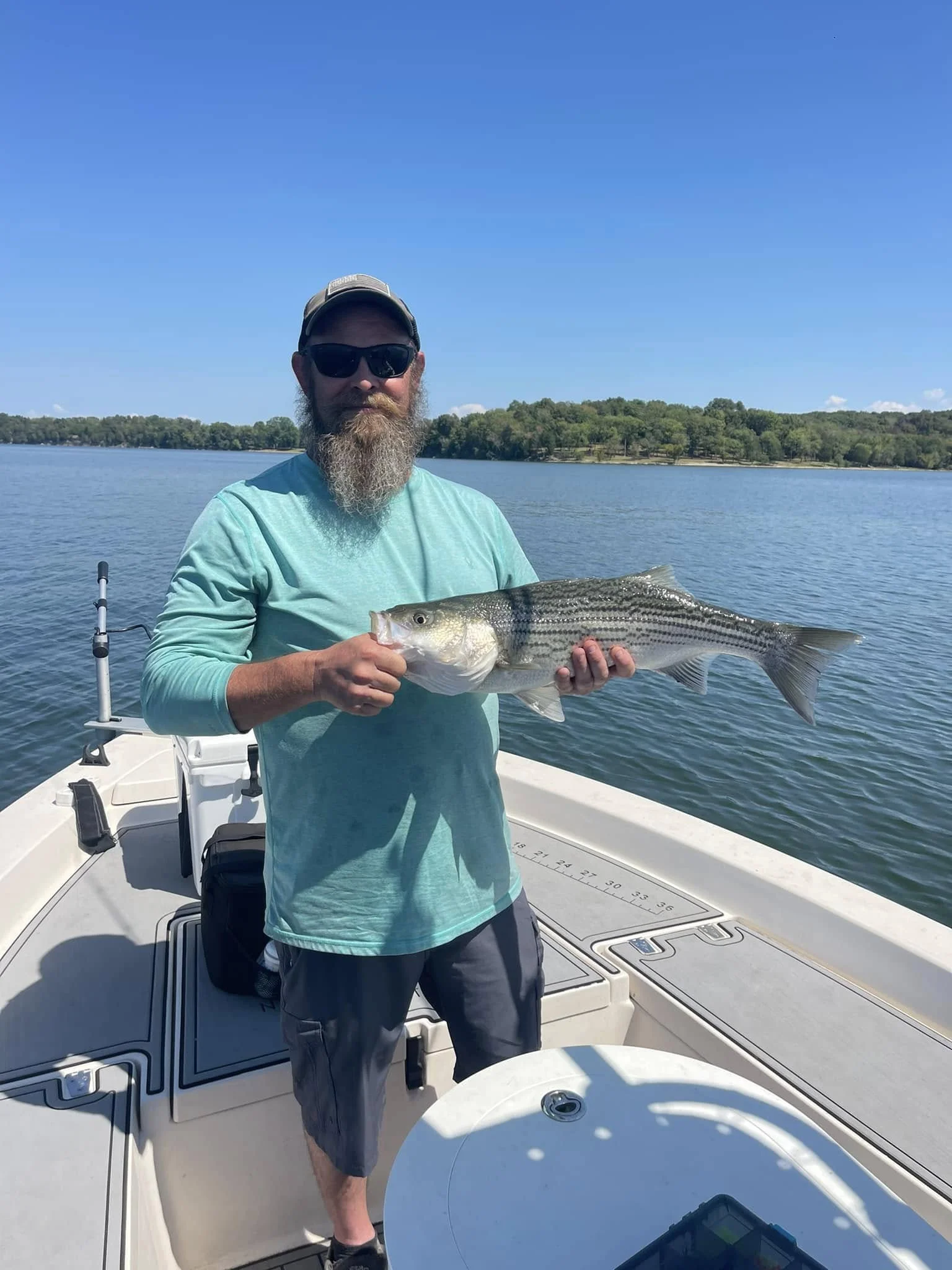 Hybrid & Striped Bass
