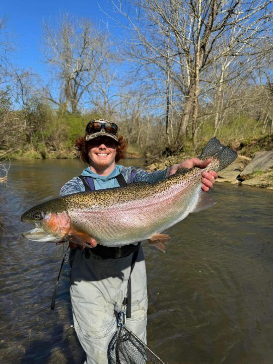 Trophy trout fly fishing experience