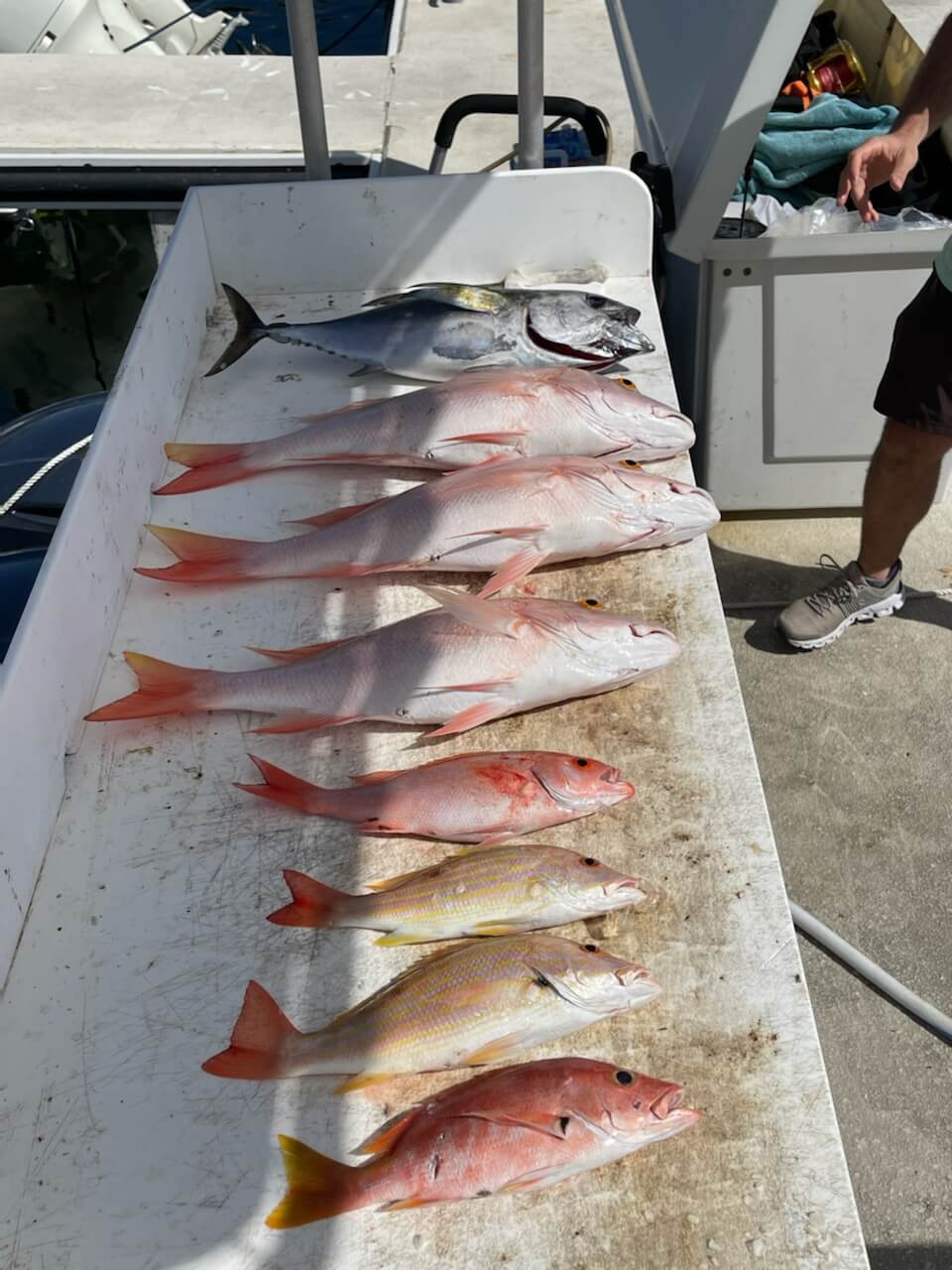 Key West Offshore Action