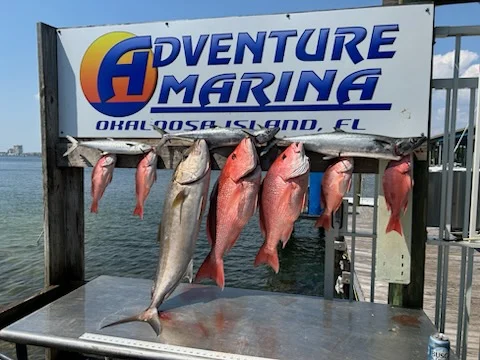 Fishing in Destin