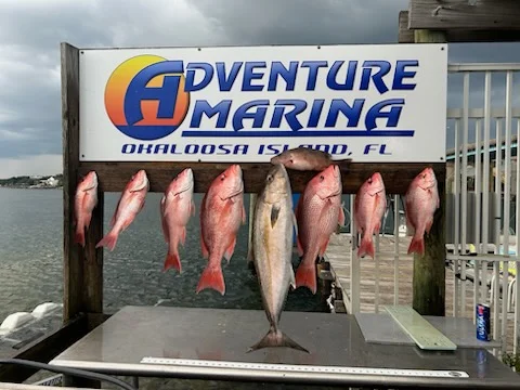 Fishing in Destin