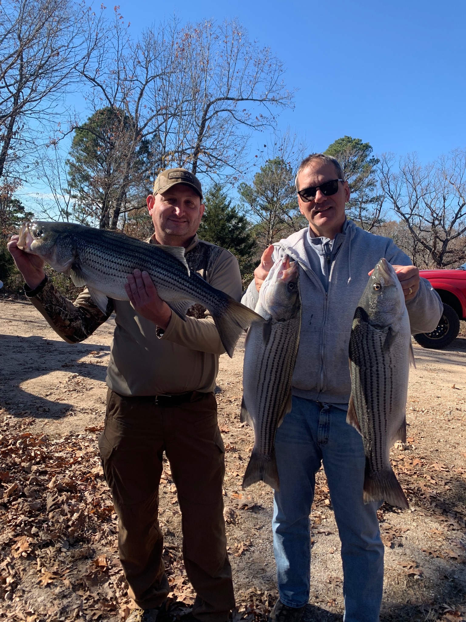 Rogers Arkansas Fishing Trips