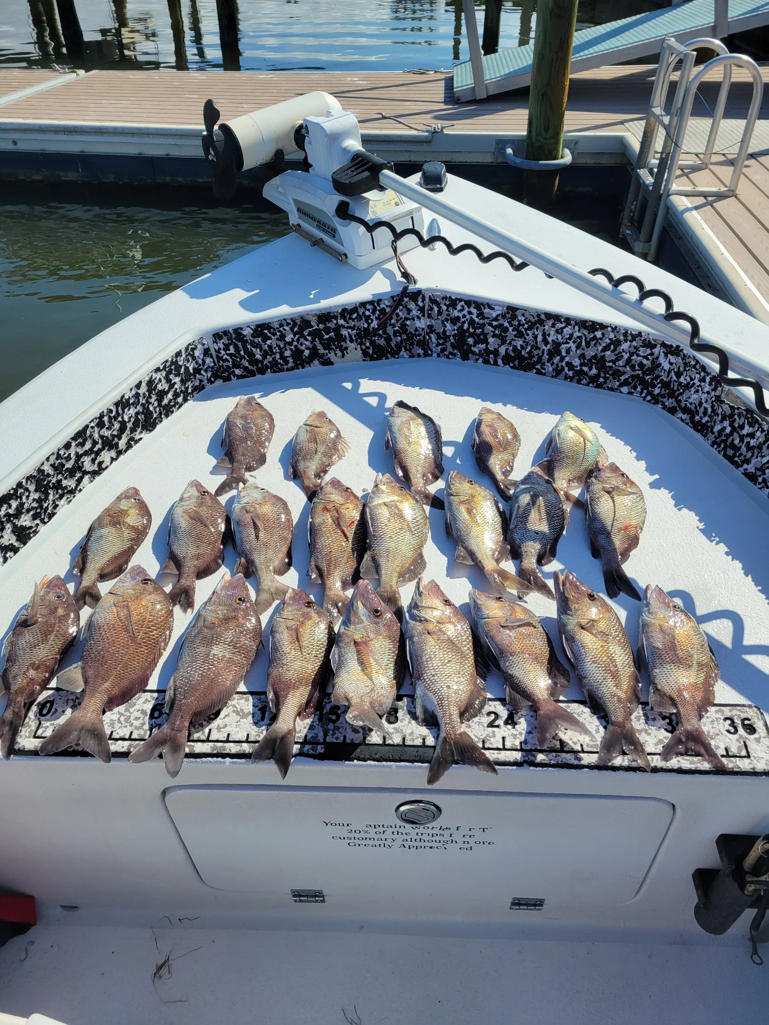 Fishing in Destin
