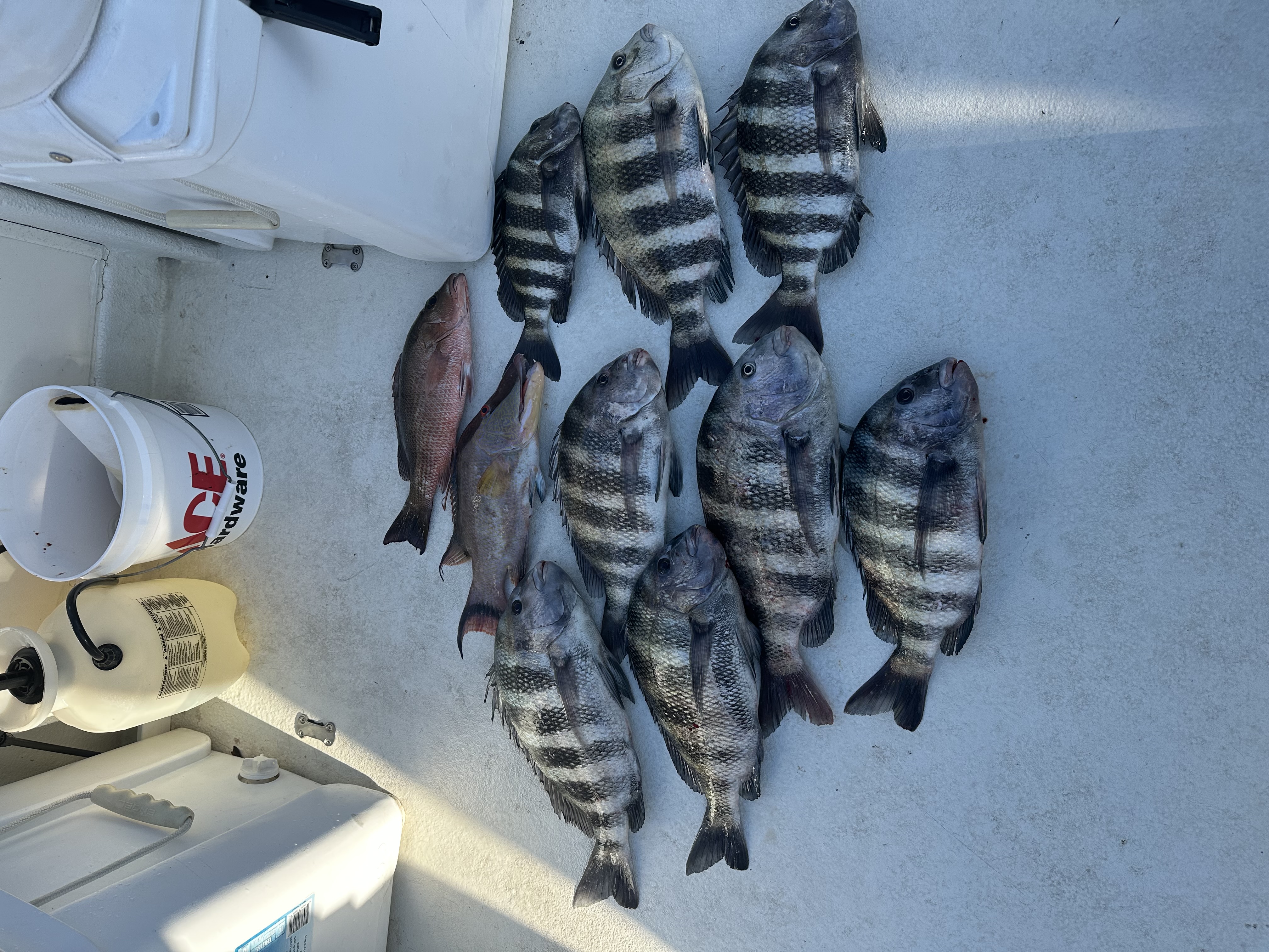 Fishing in Destin