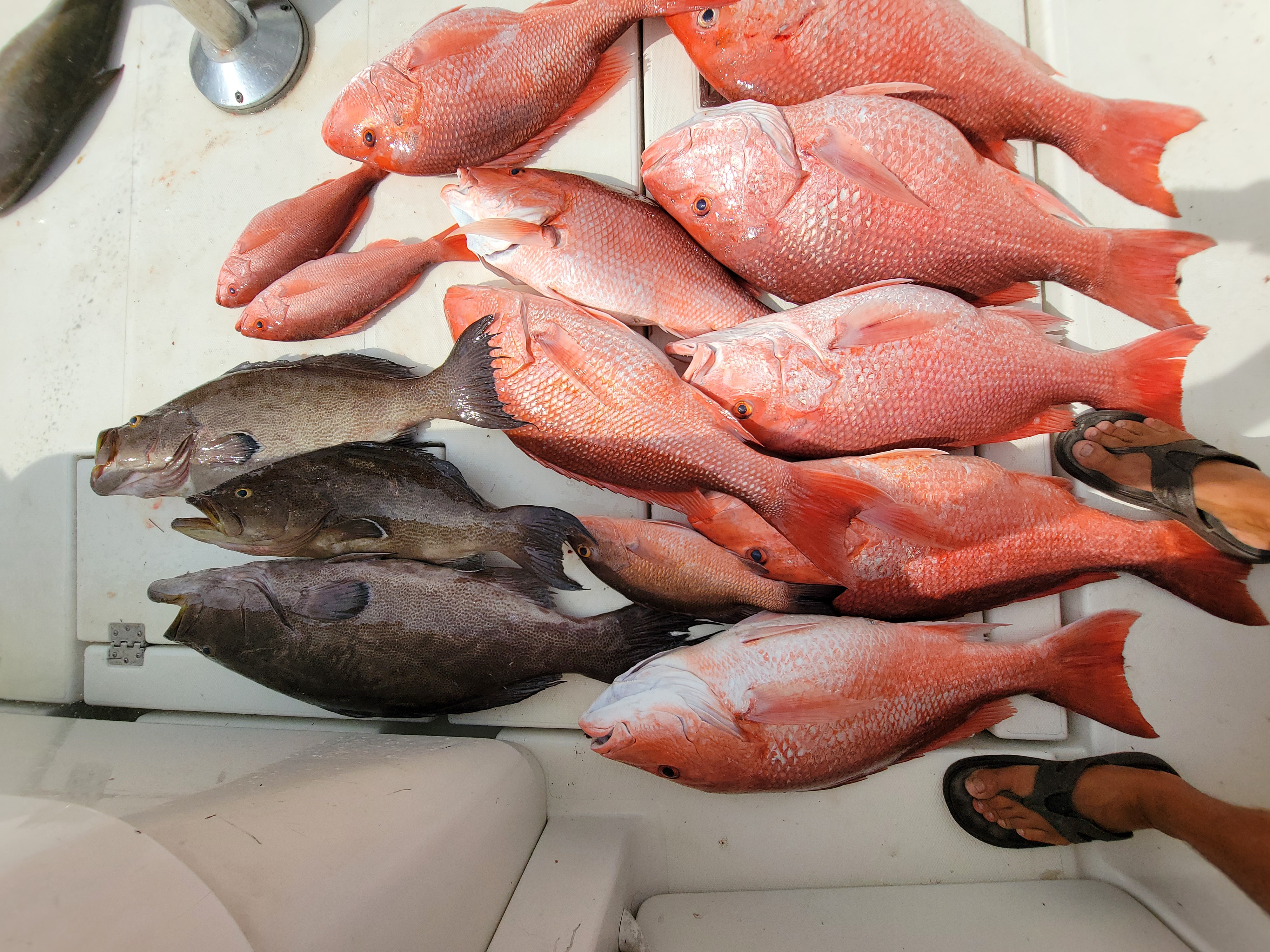 Fishing in Destin