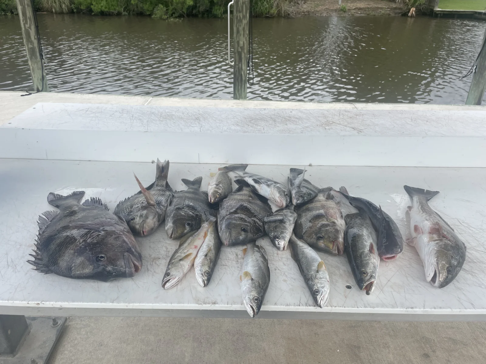 Fishing in Destin