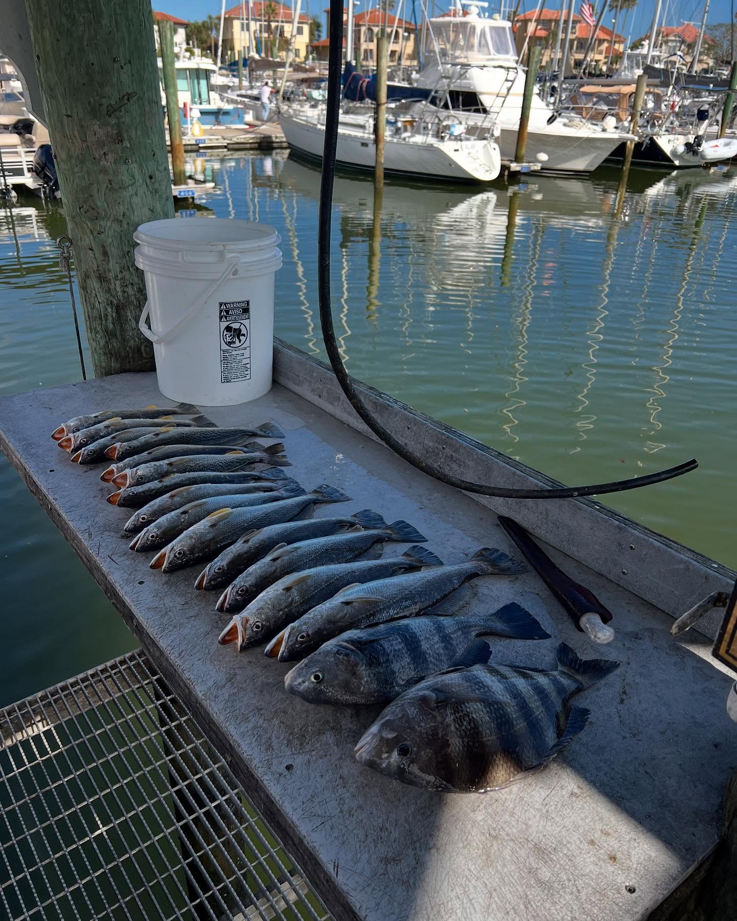 St. Augustine Inshore Trip