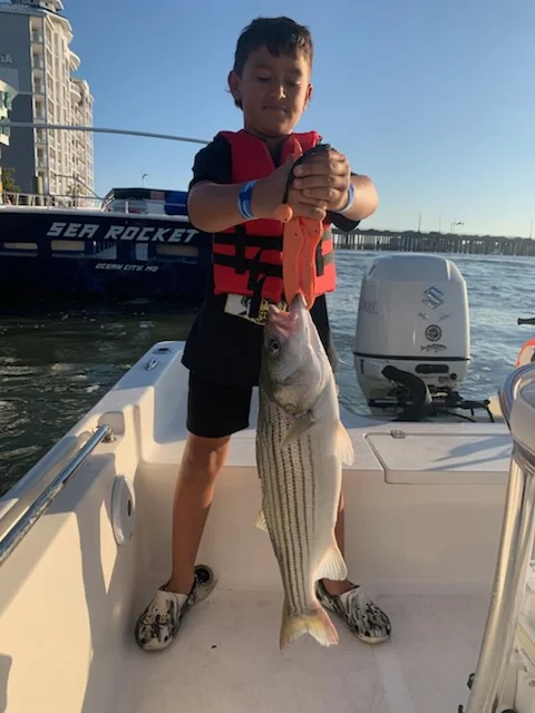 Ocean City