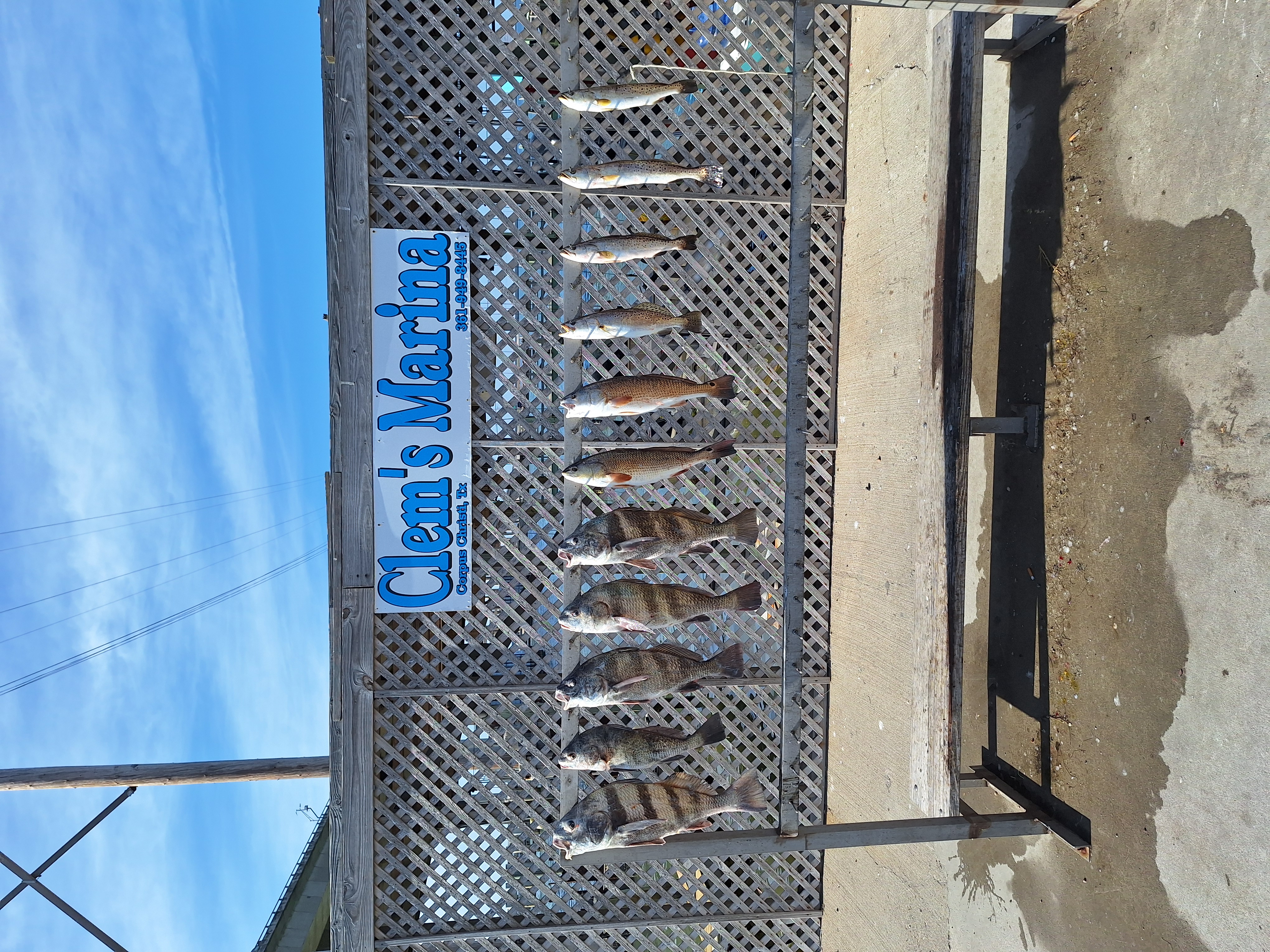 Fishing in Destin