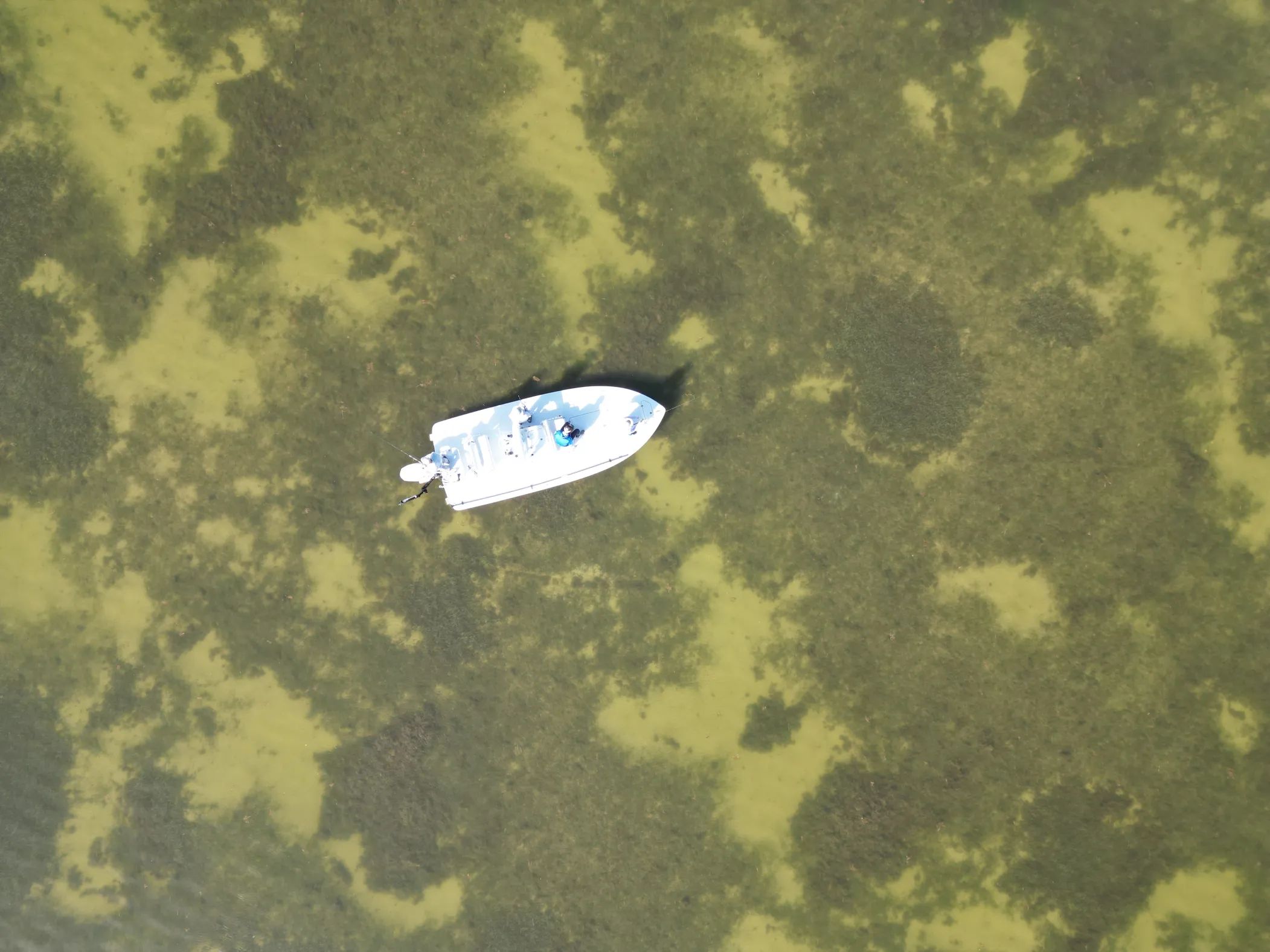 Fly fish for Redfish