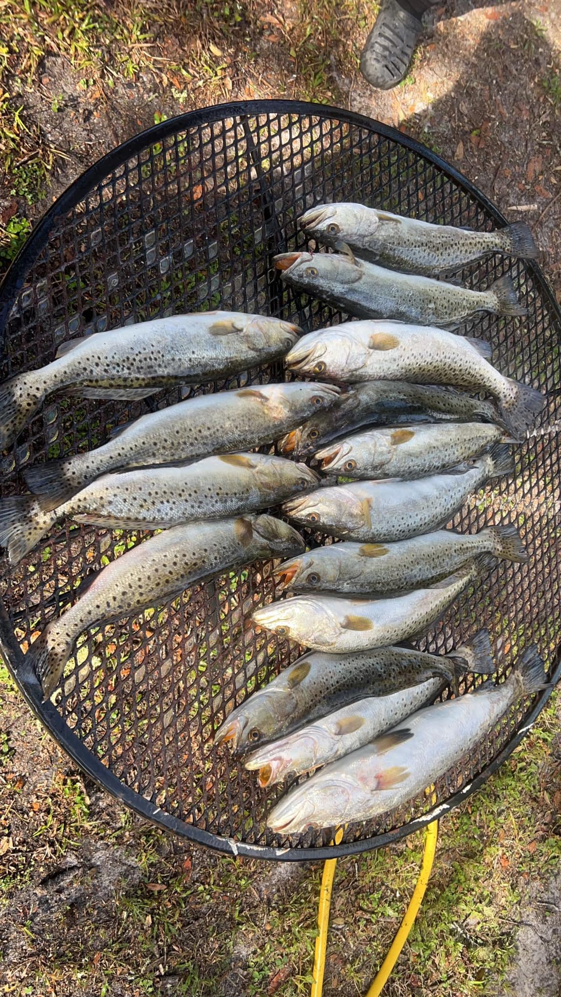 Inshore/ Nearshore Fishing Trip