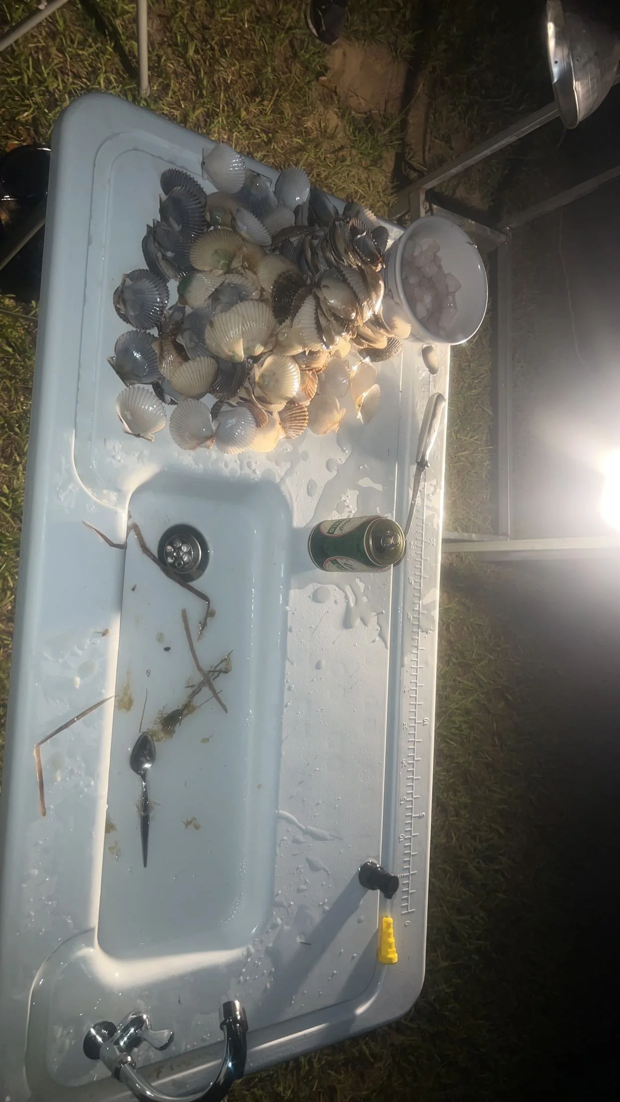Scalloping Trip