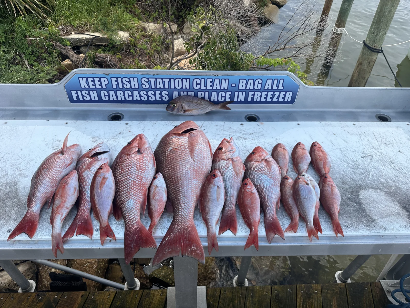 Fishing in Destin