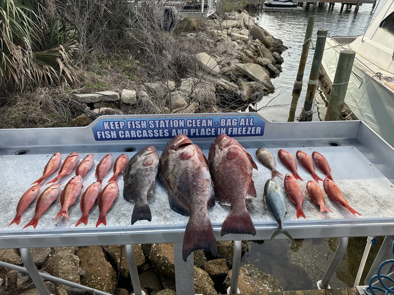 Fishing in Destin