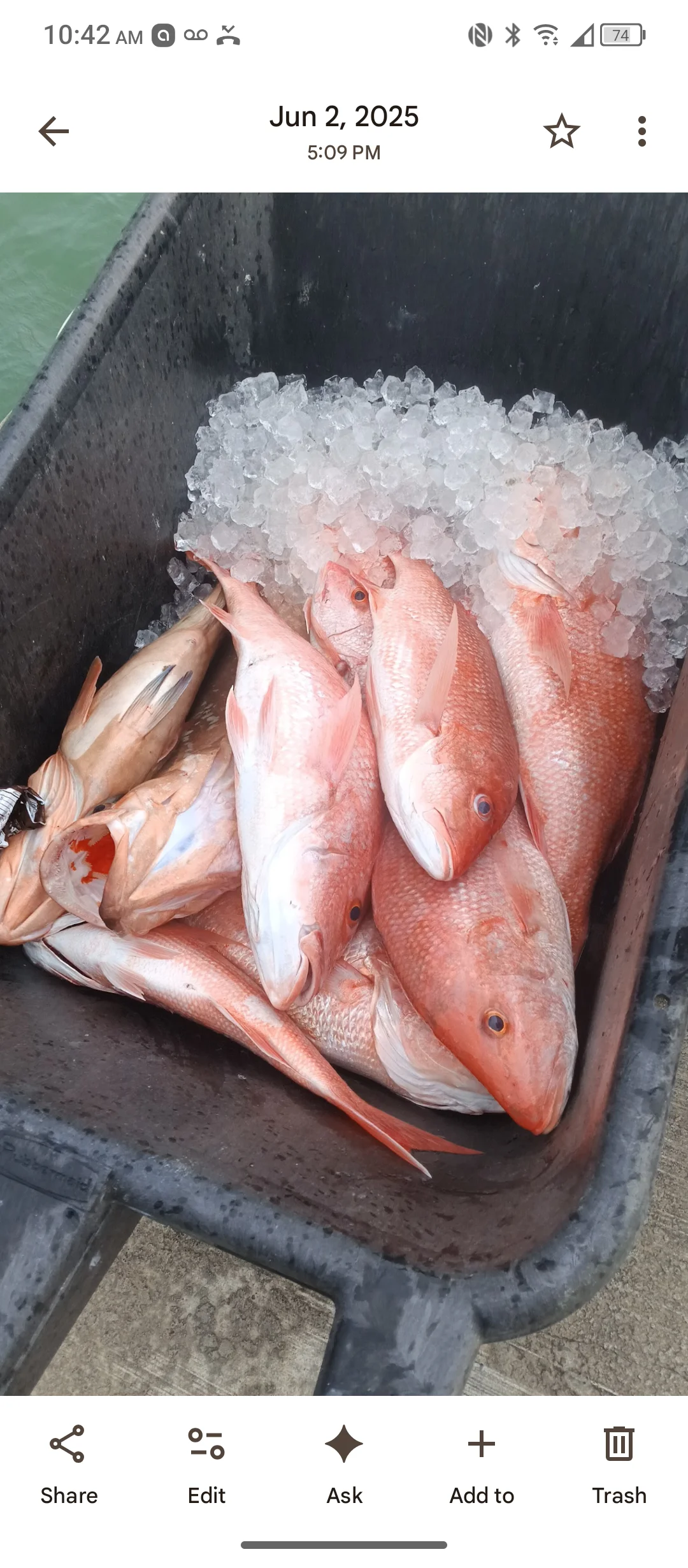 Fishing in Destin