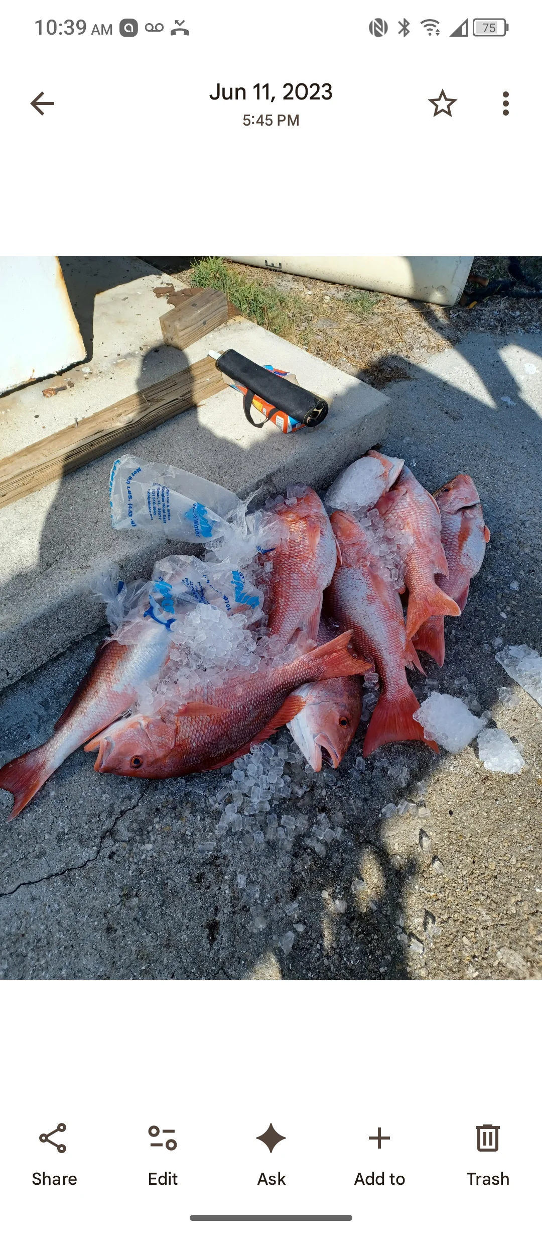 Fishing in Destin