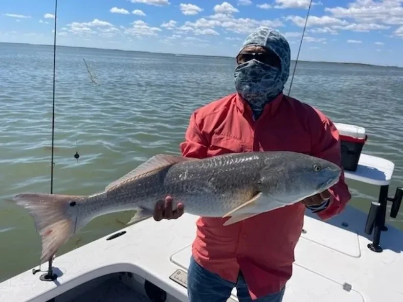 Half Day fishing trip in the Bay
