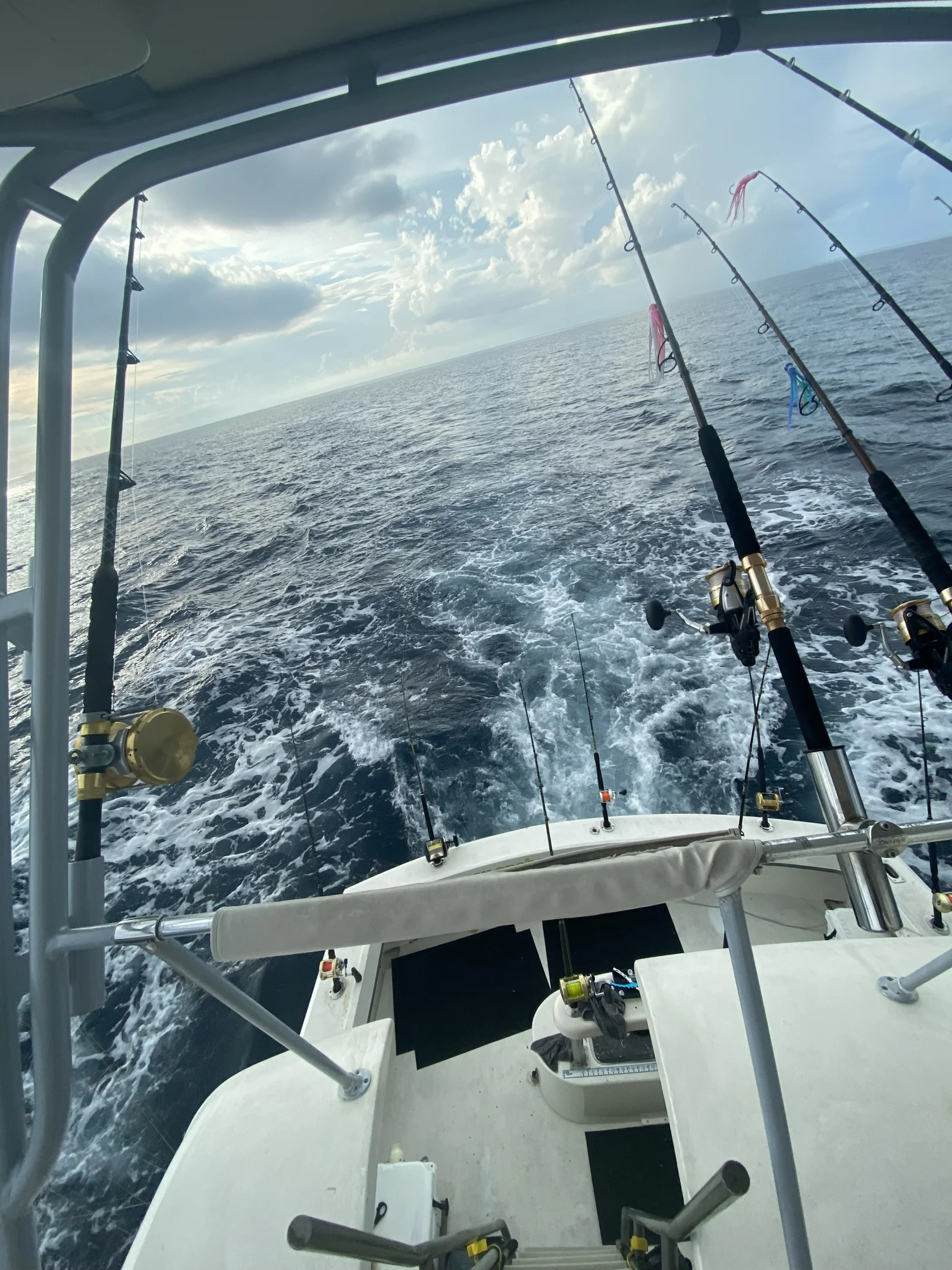 Half Day To Full Day Trip - 40'