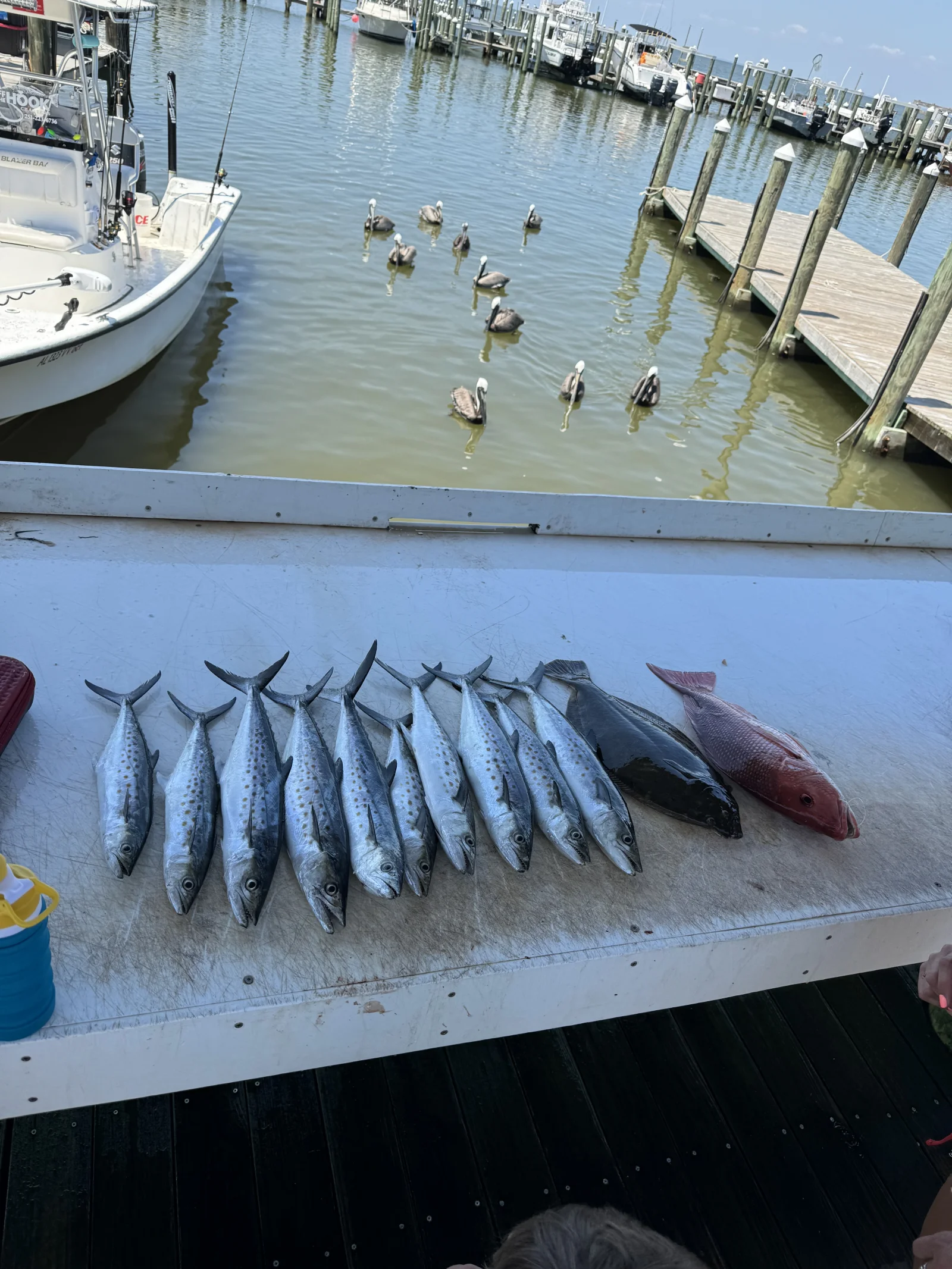 Fishing in Destin