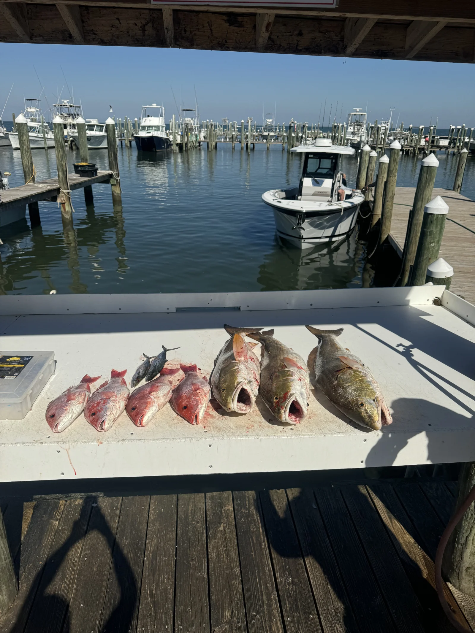 Fishing in Destin