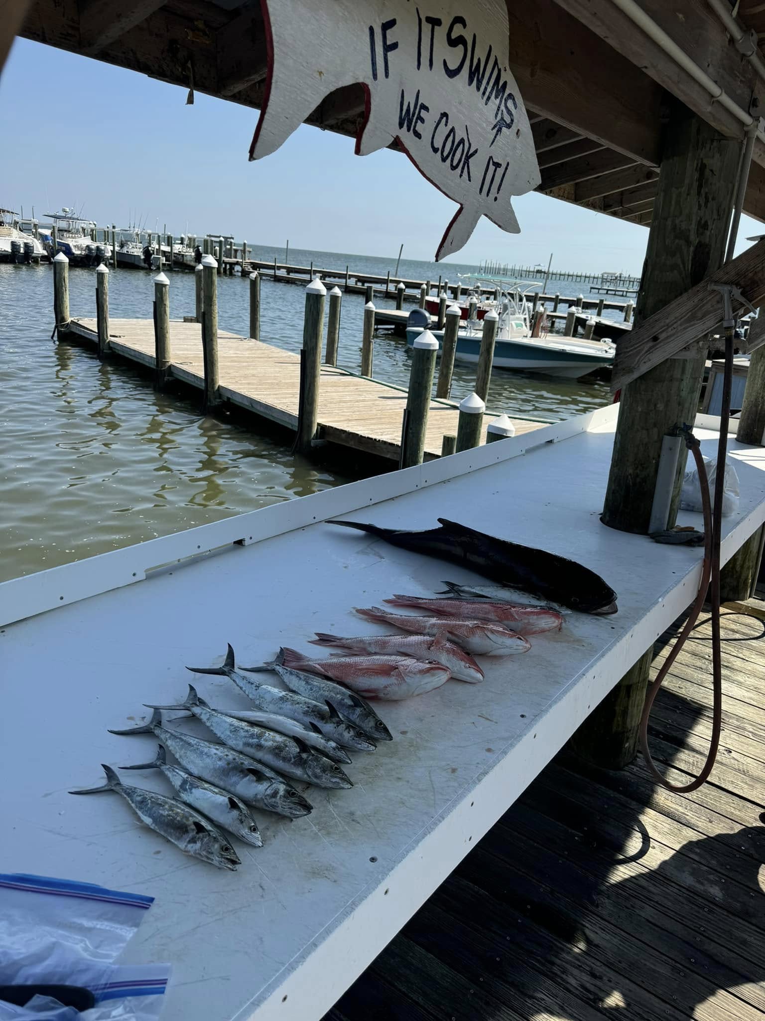 Fishing in Destin