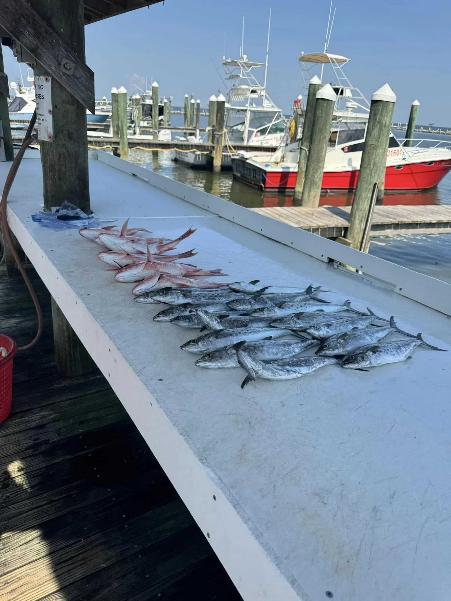 Fishing in Destin