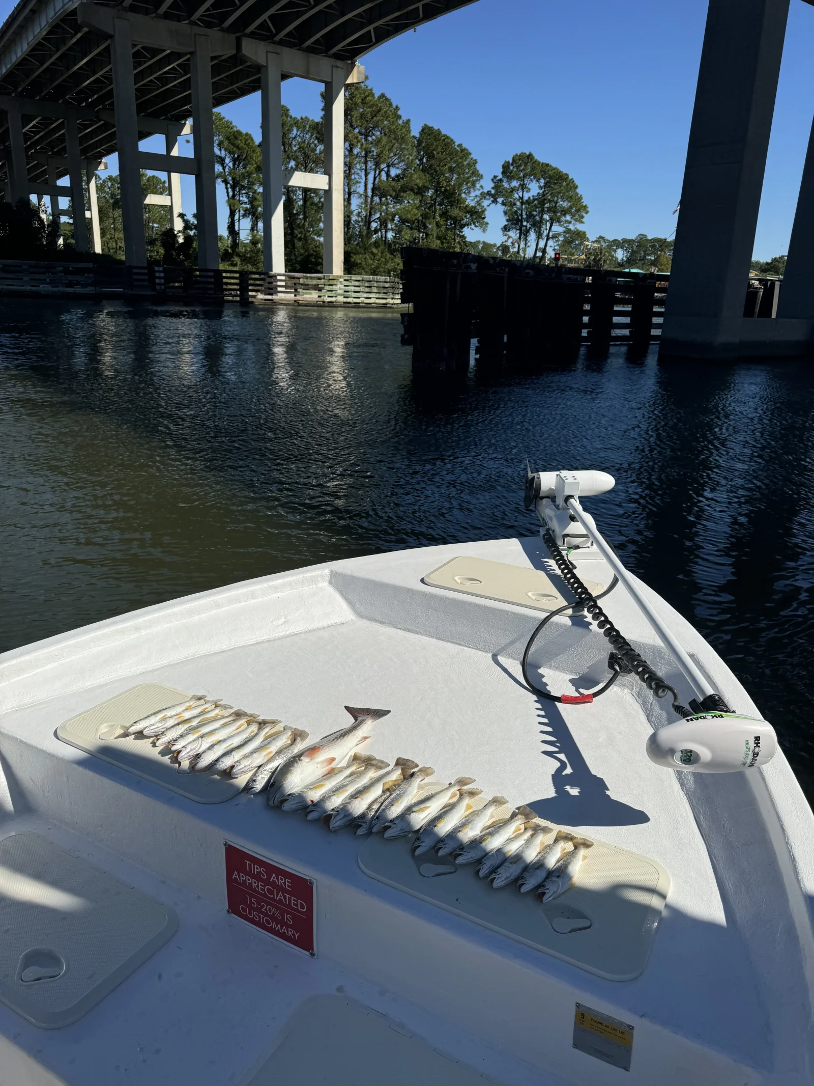 Fishing in Destin
