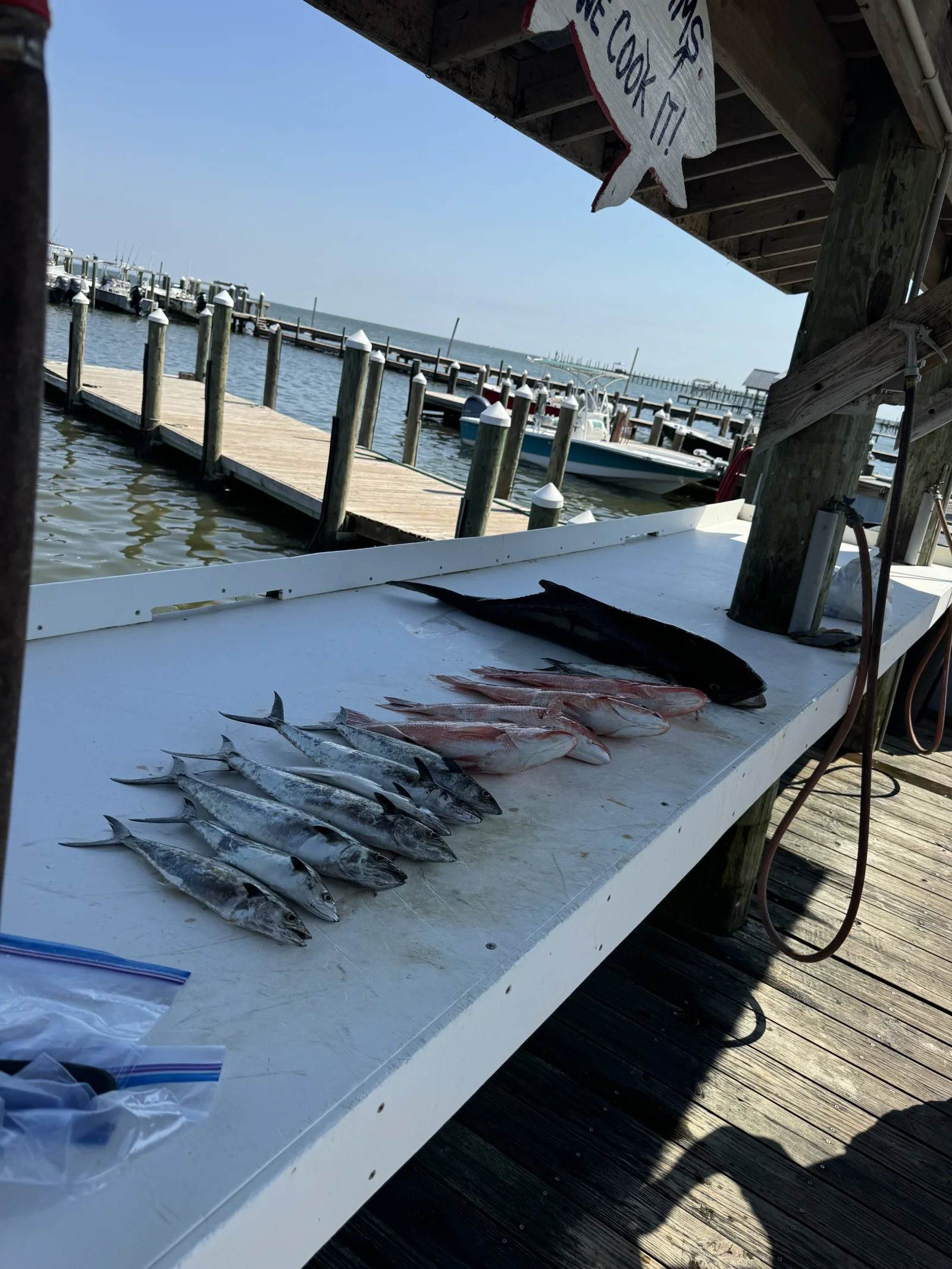 Fishing in Destin