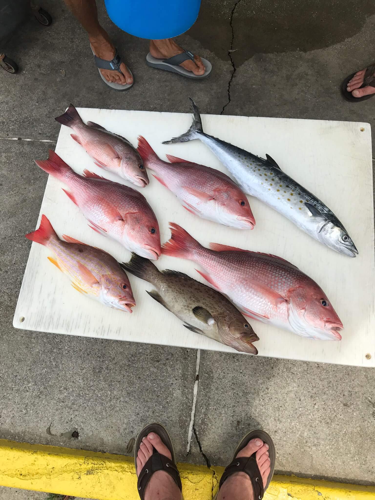 Fishing in Destin