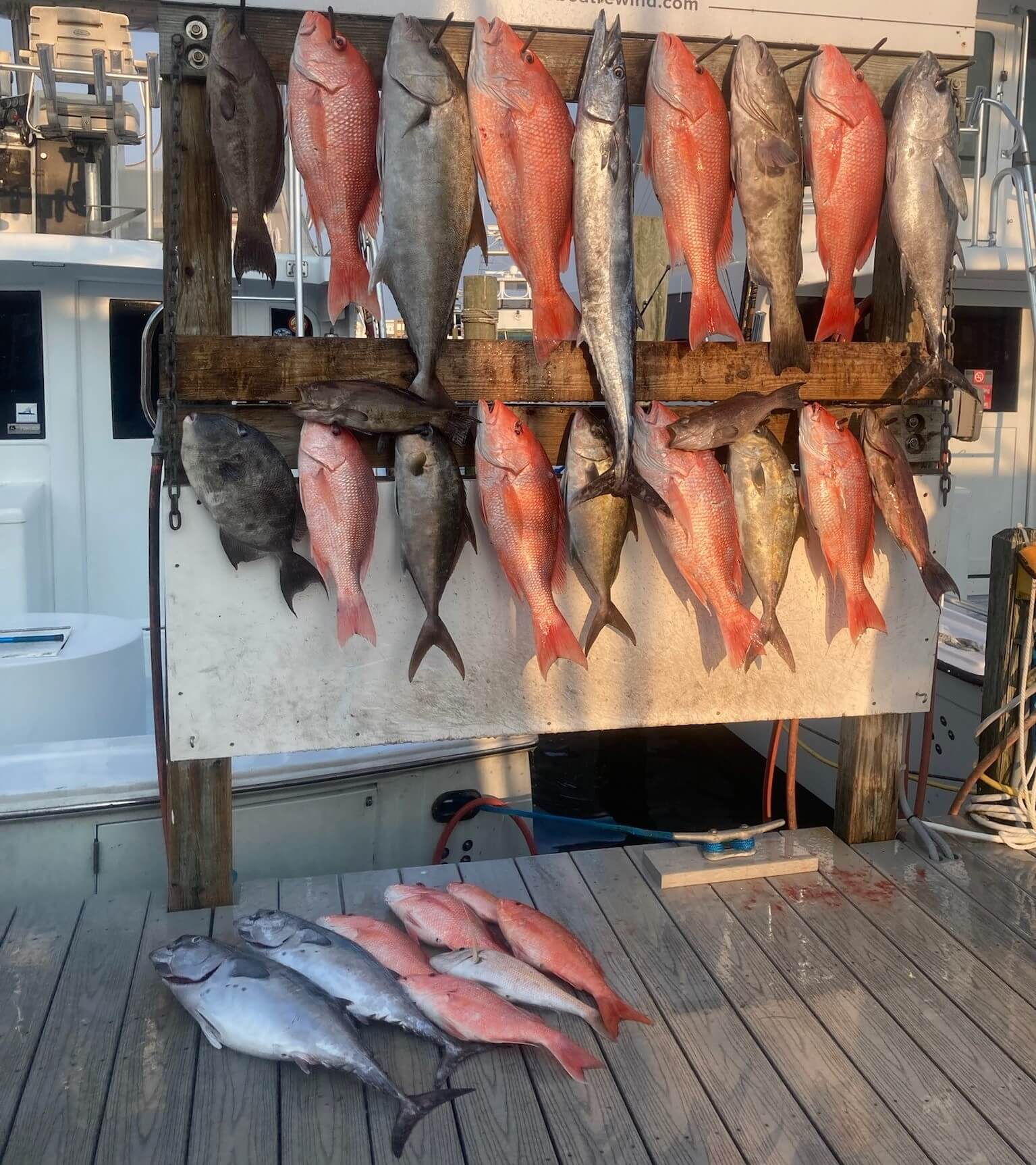 Fishing in Destin