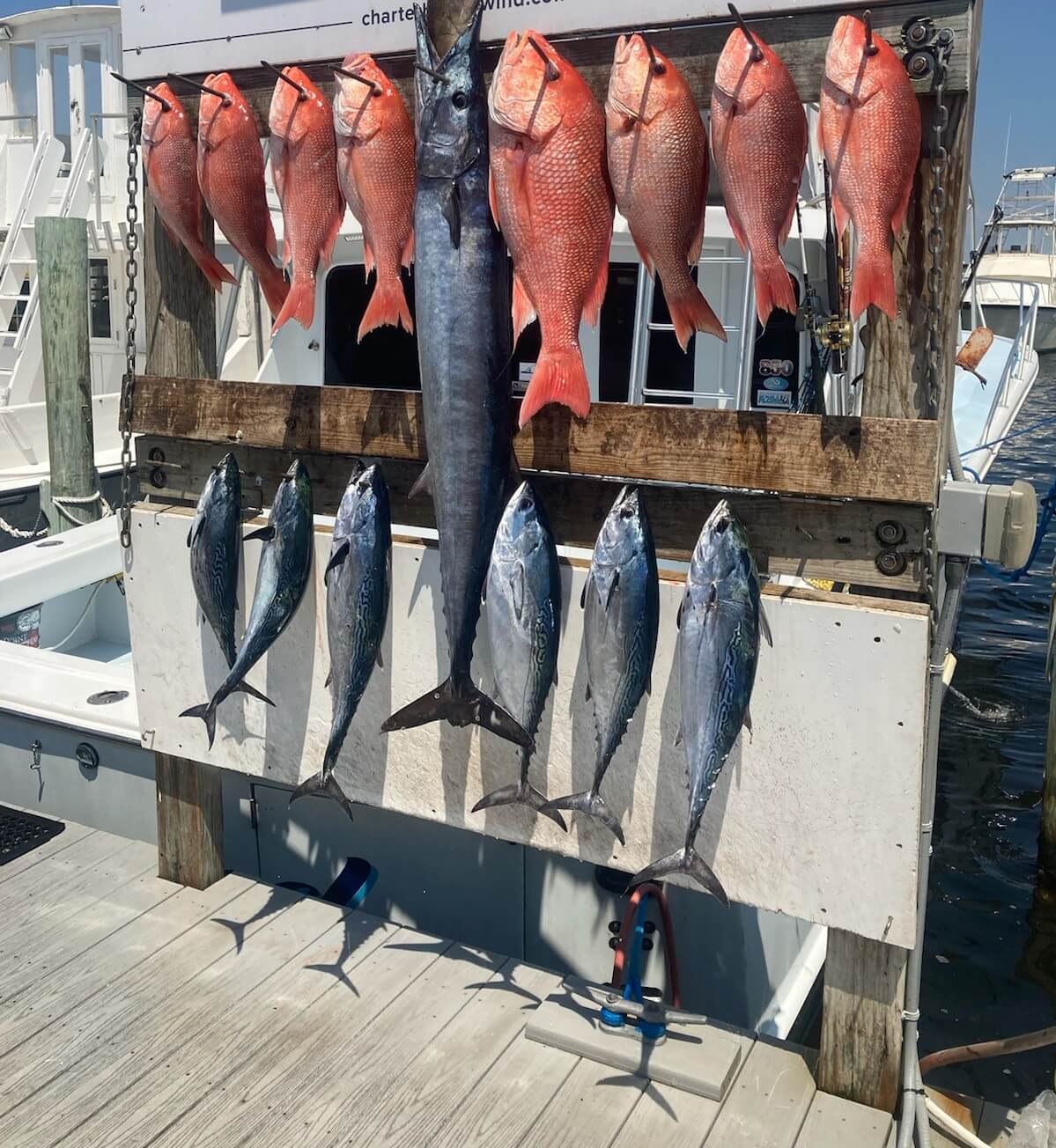 Fishing in Destin