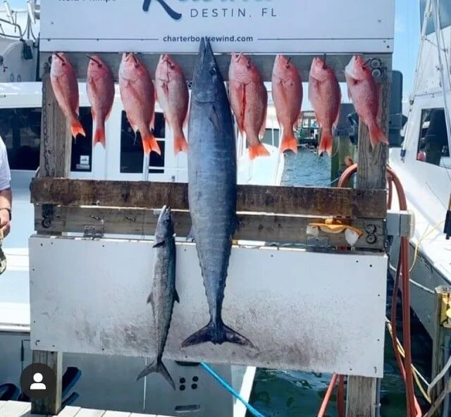 Fishing in Destin